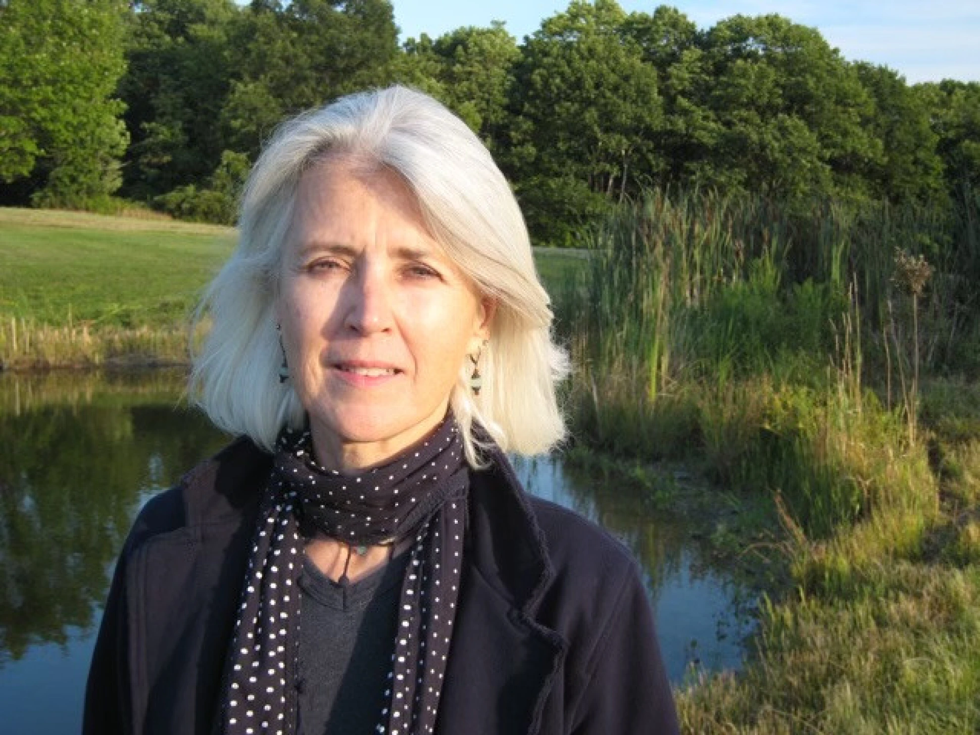 Joan Baez I Am A Noise hero banner image placeholder