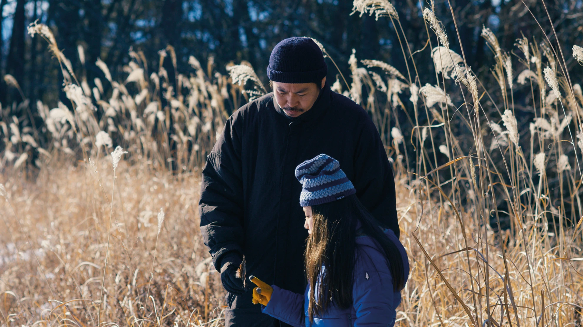 Evil Does Not Exist hero banner image placeholder