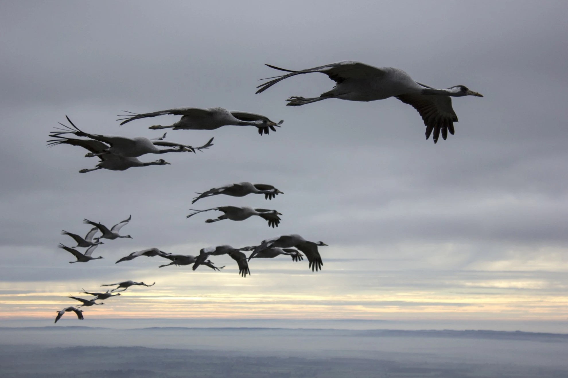 Unsere Wildnis hero banner image placeholder