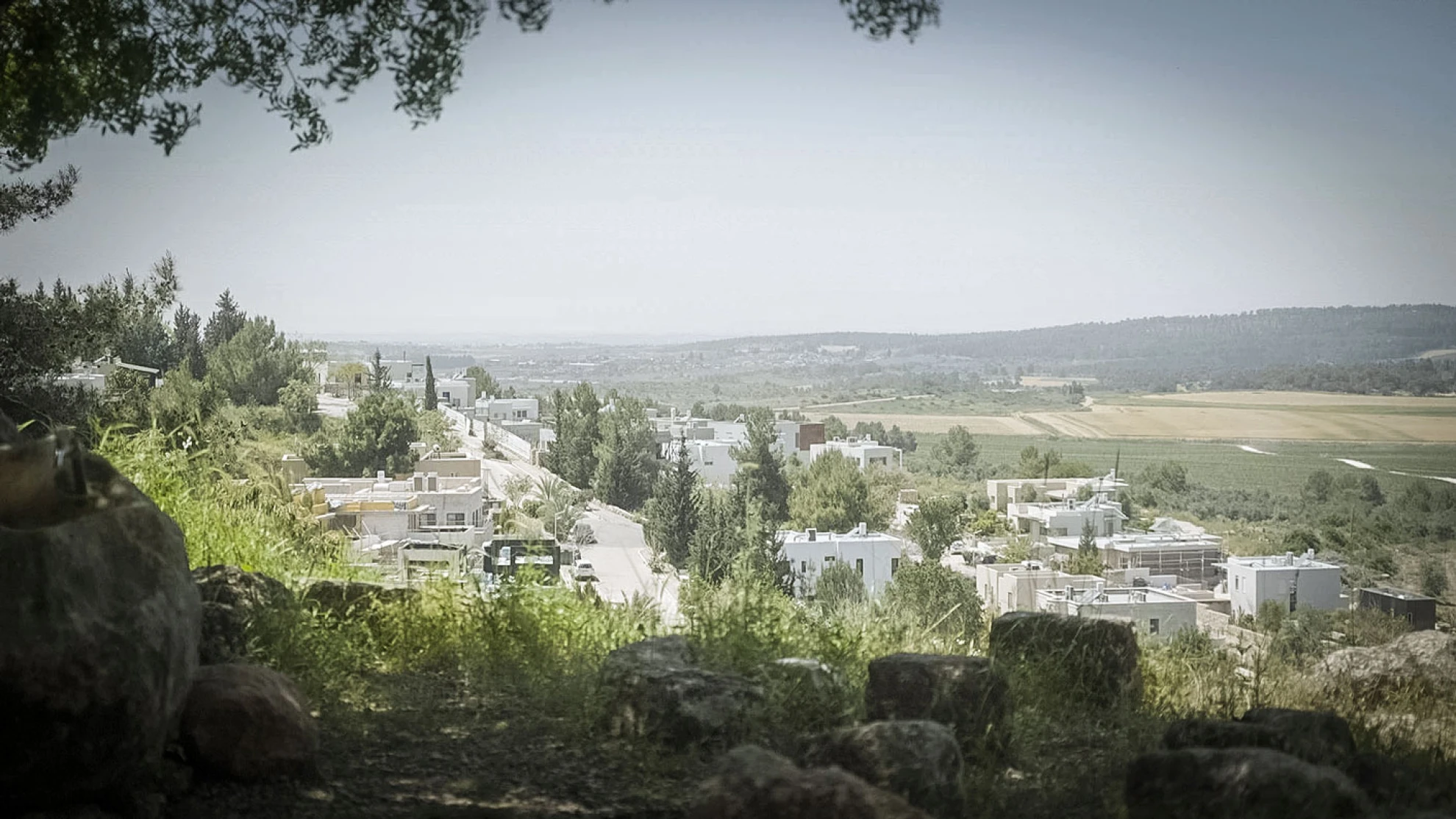 Children of Peace hero banner image placeholder