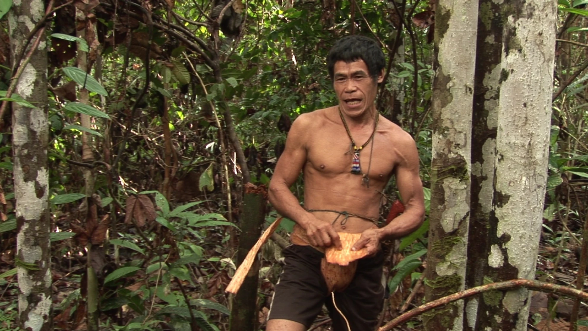 Bruno Manser - Laki Penan hero banner image placeholder