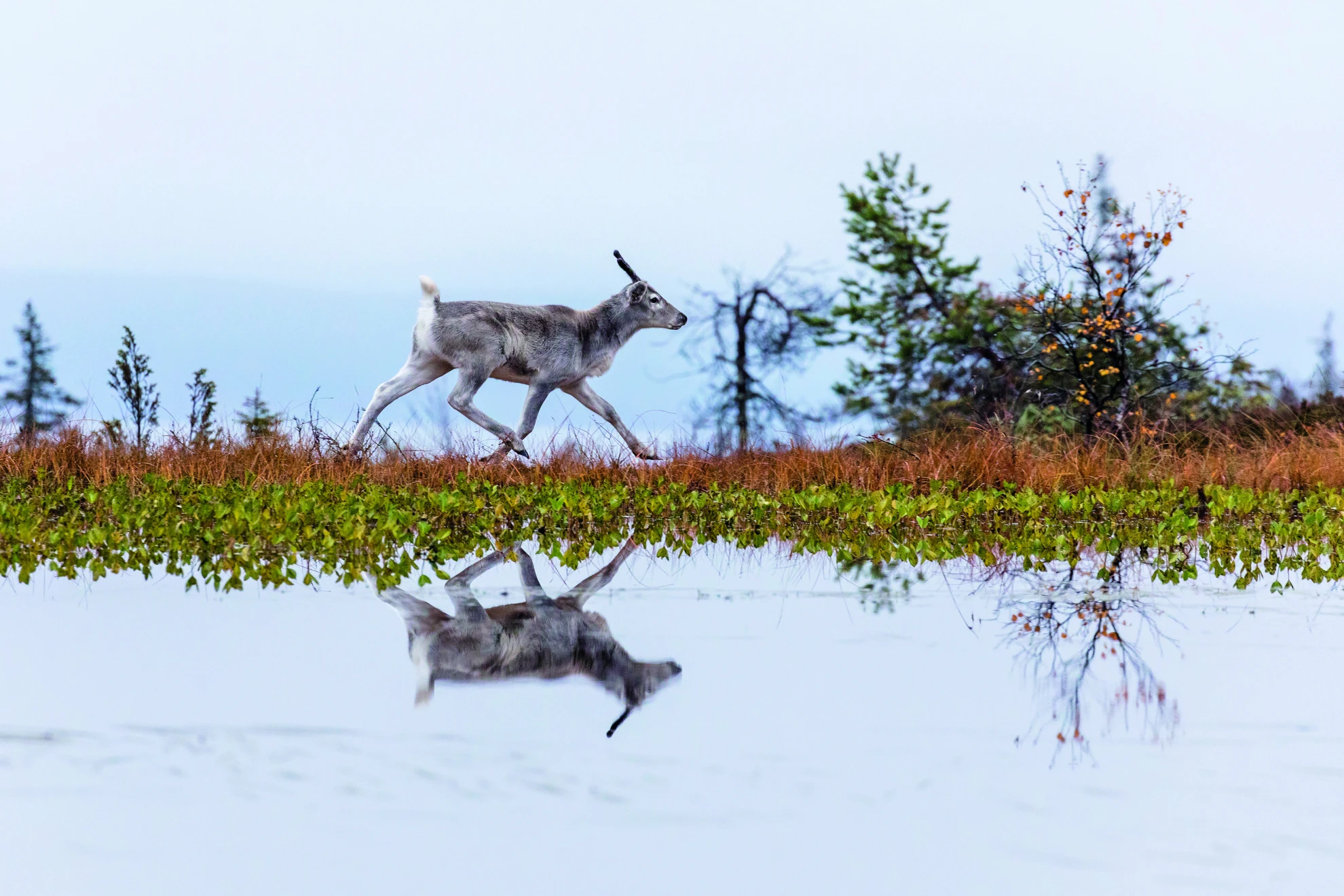 Ailos Reise hero banner image placeholder