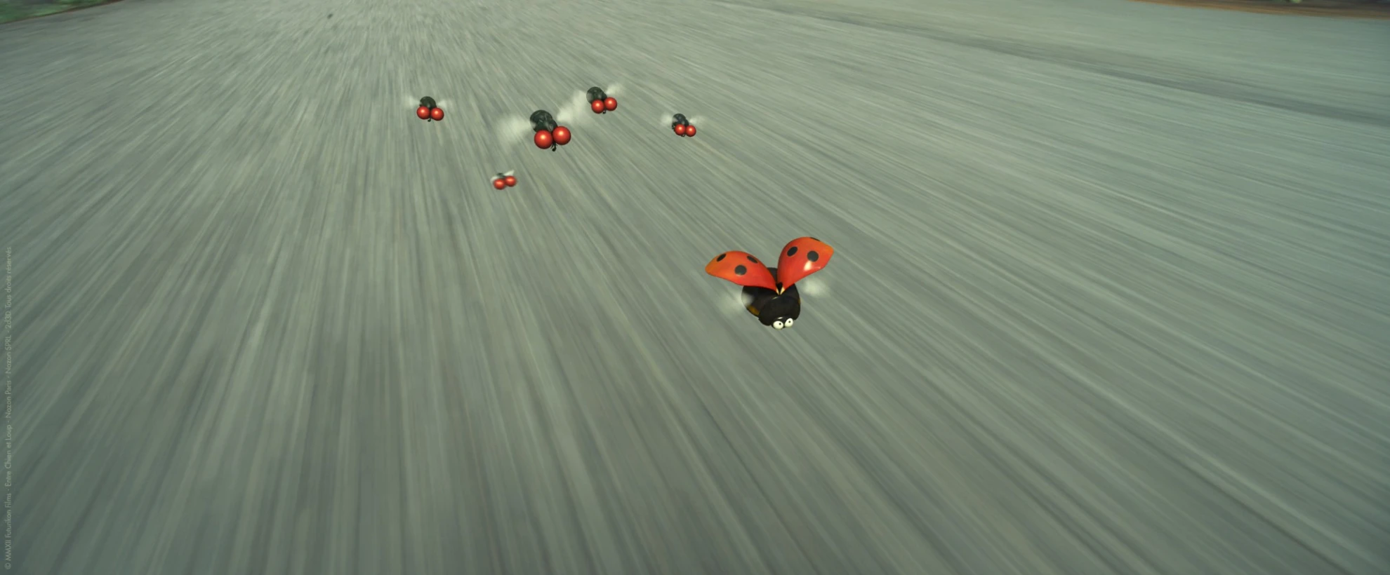 Minuscule - Kleine Helden hero banner image placeholder