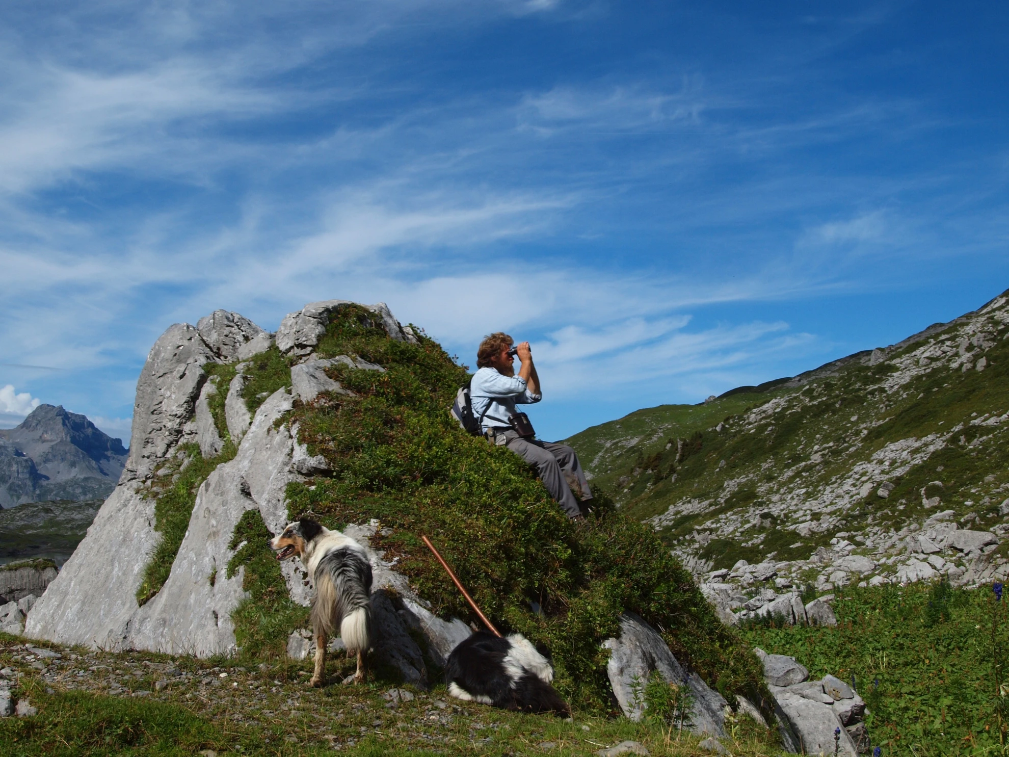 Alpsummer hero banner image placeholder