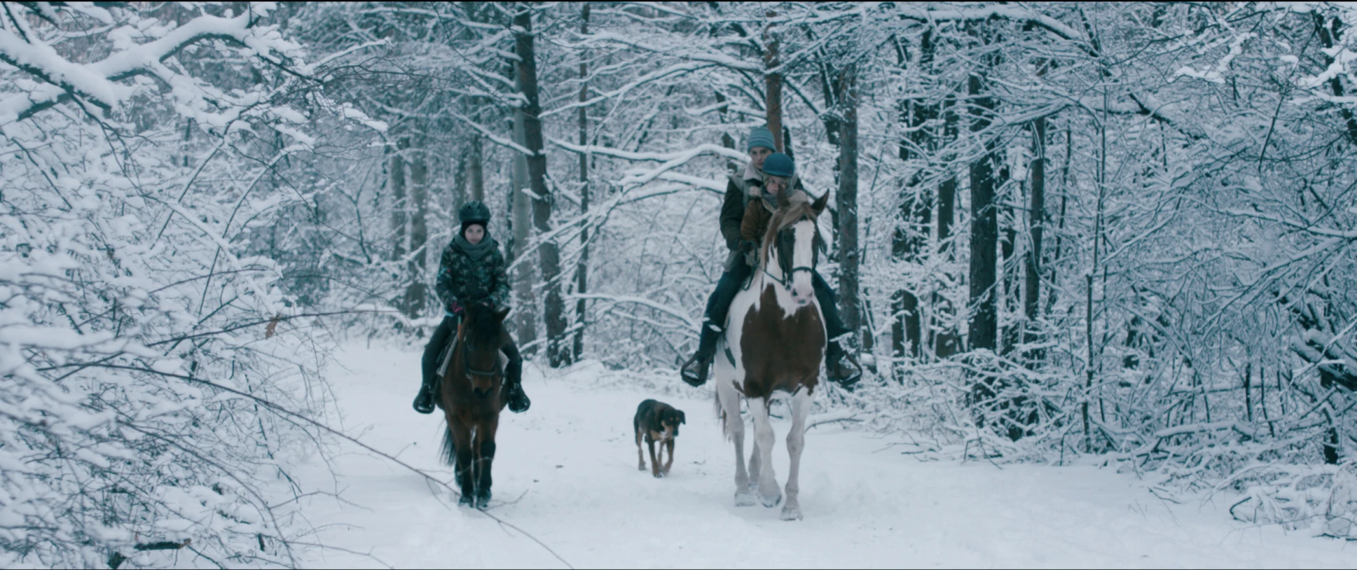 Pelikanblut - Alles für meine Tochter hero banner image placeholder