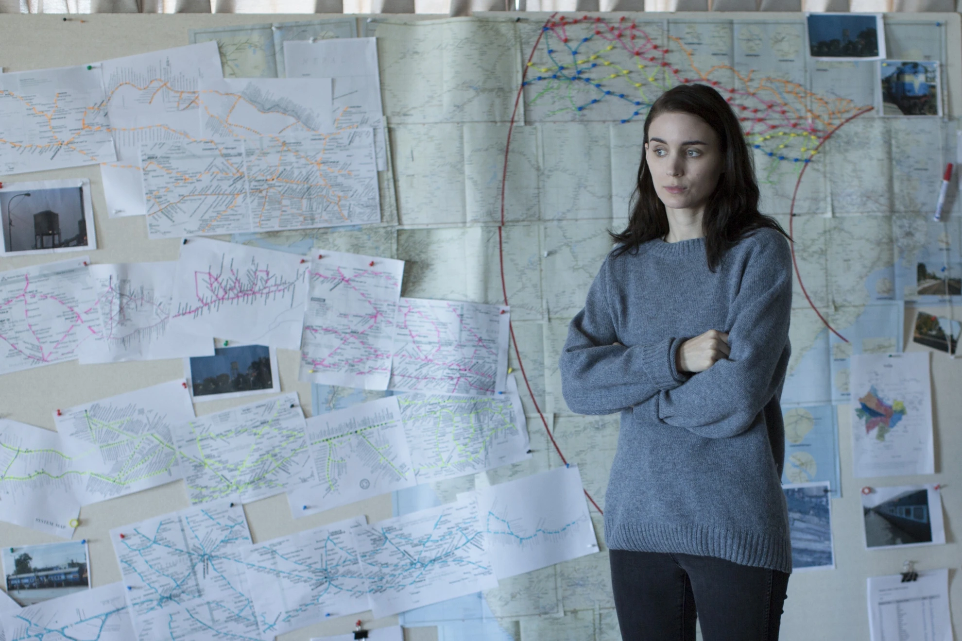 Lion hero banner image placeholder