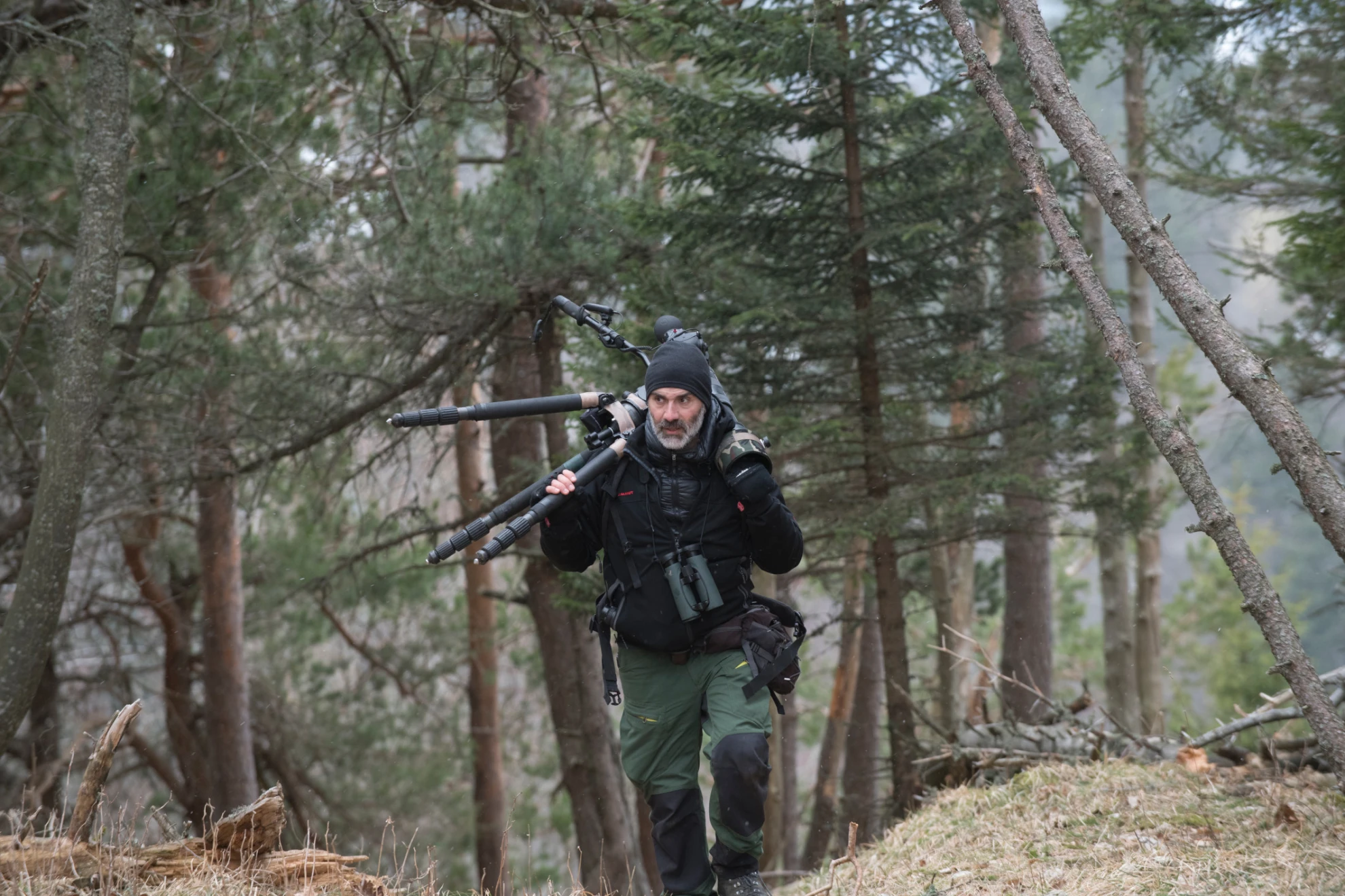 Luchs hero banner image placeholder