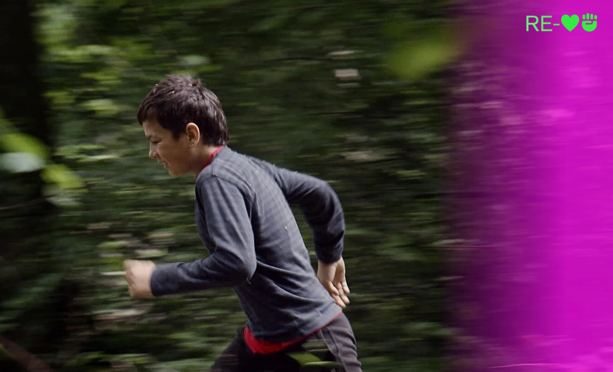 Spartacus & Cassandra hero banner image placeholder