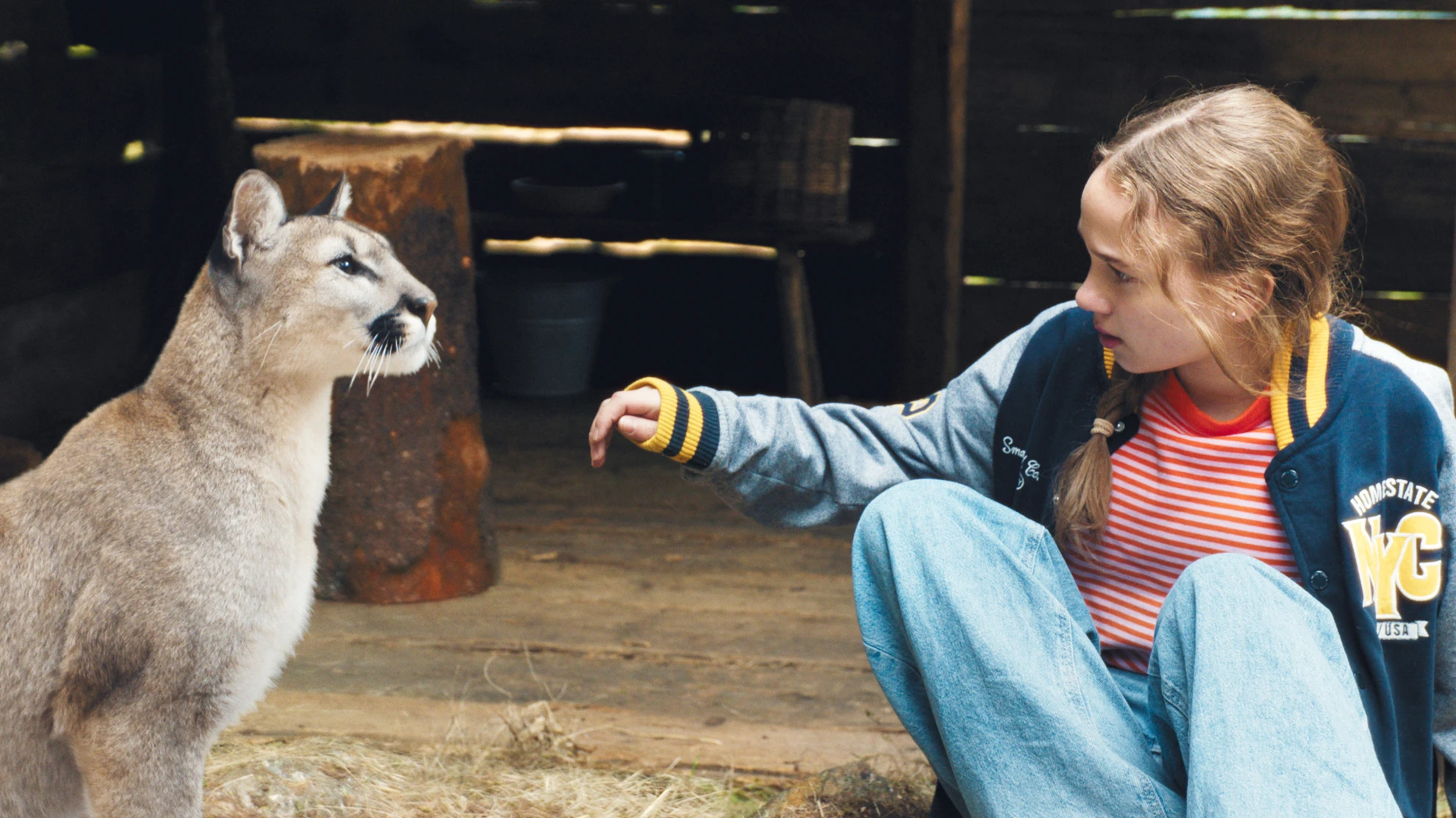 Woodwalkers 2 hero banner image placeholder