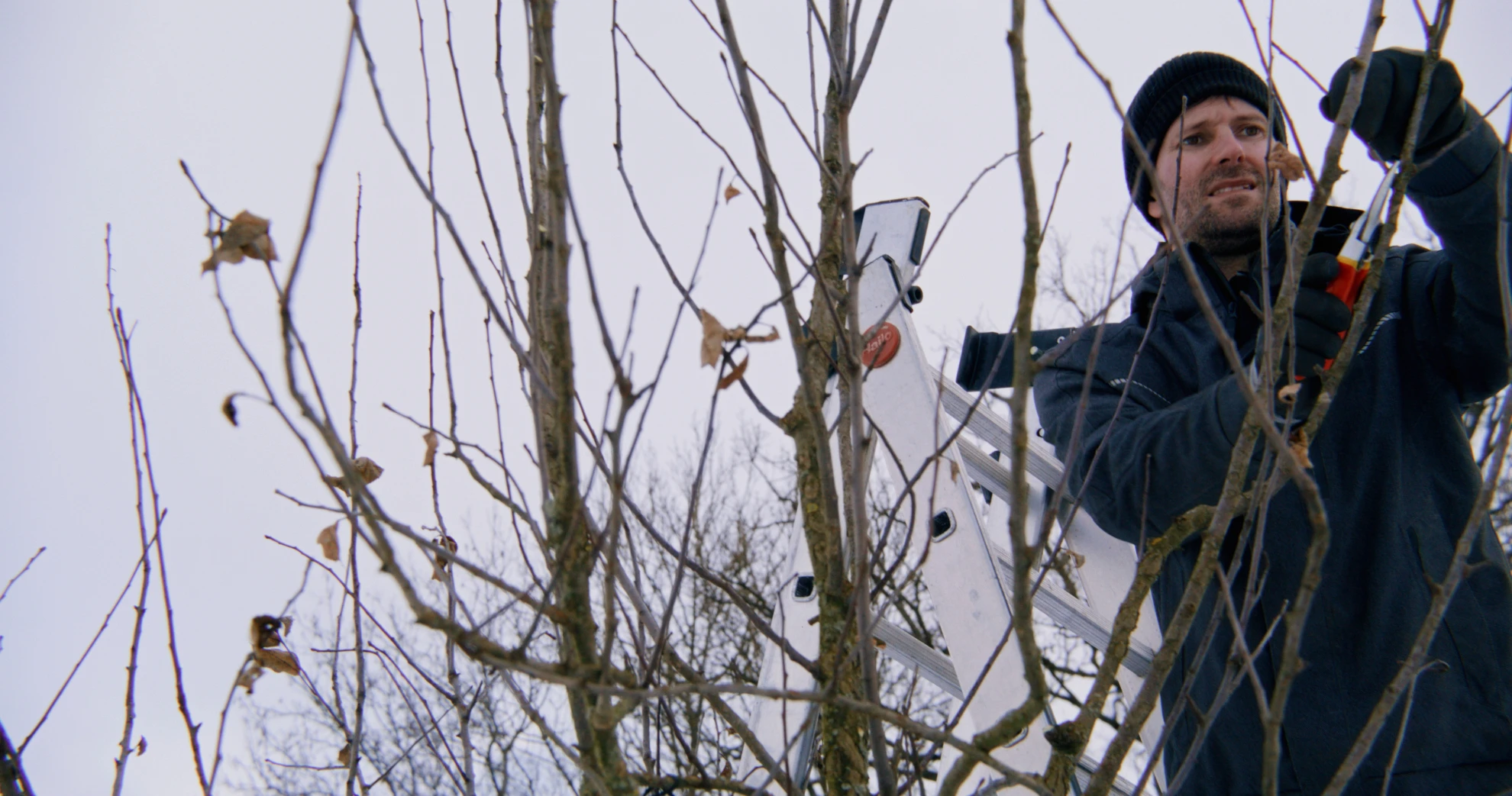 Wir Erben hero banner image placeholder