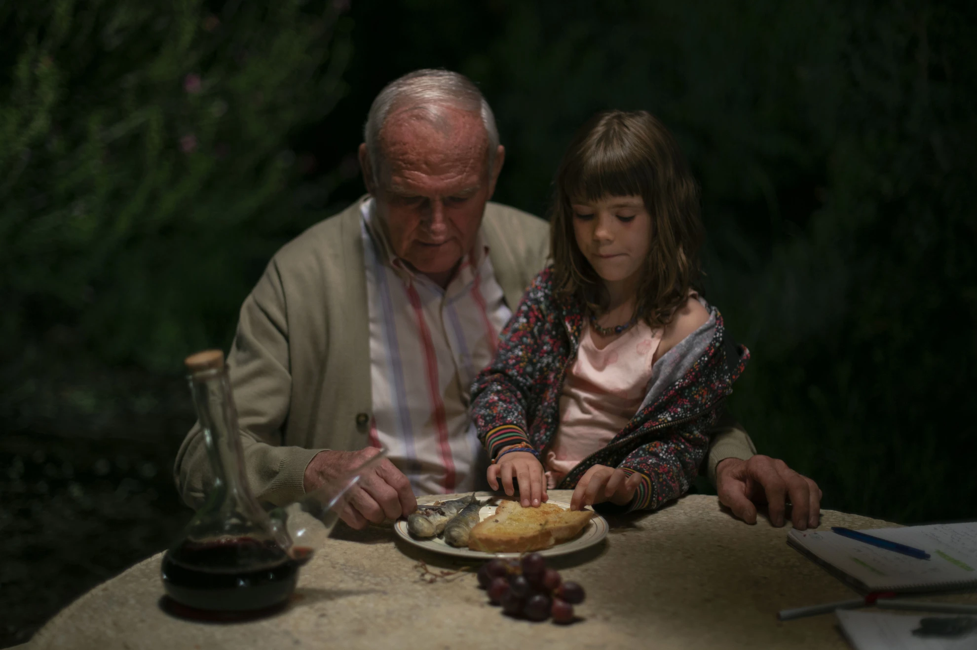 Alcarràs hero banner image placeholder