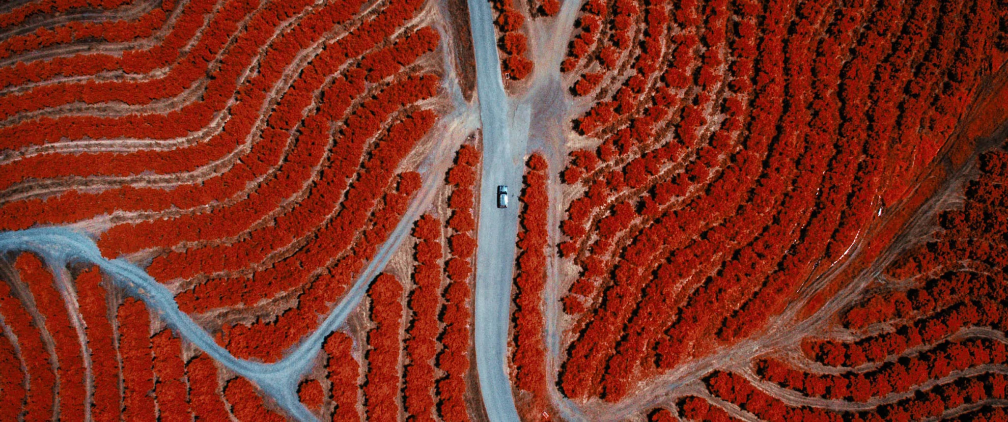 Everything Will Change hero banner image placeholder