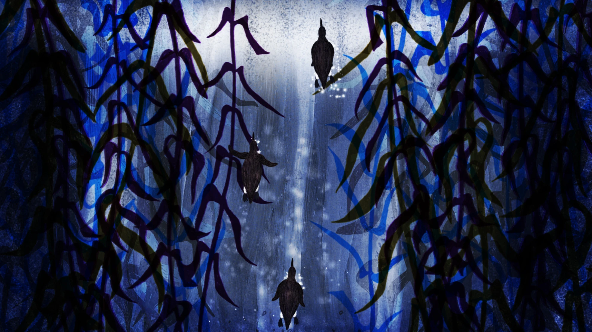 Kleine Geschichten unter dem Ozean (Kurzfilme) hero banner image placeholder