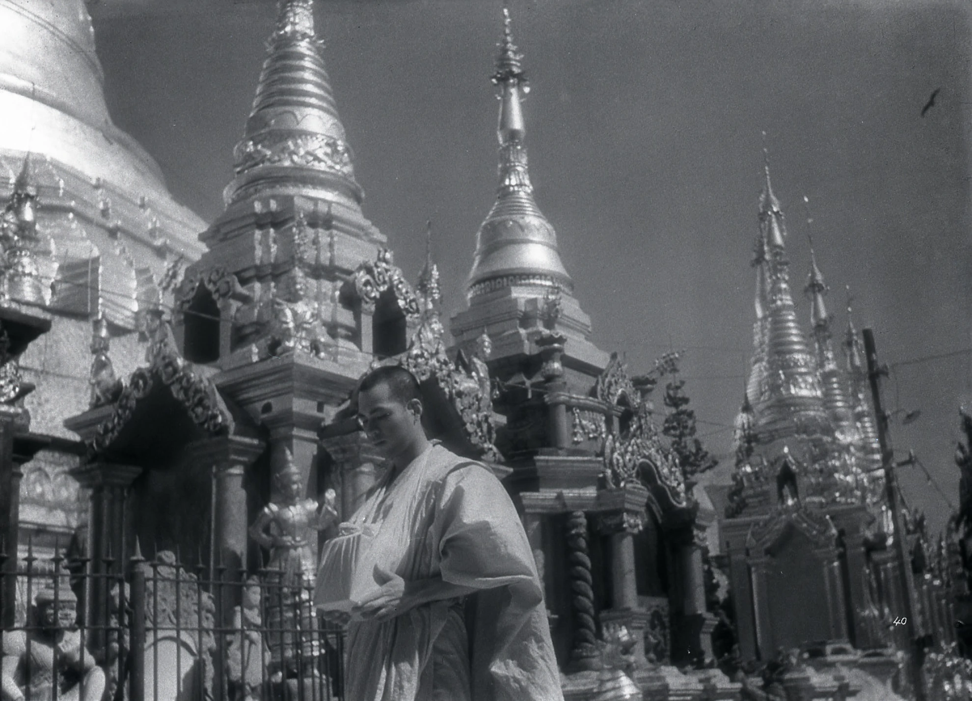 The Burmese Harp hero banner image placeholder