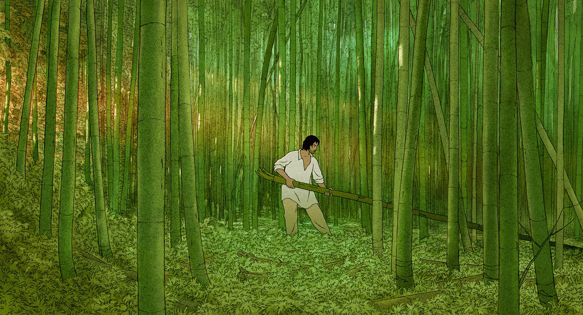 La tortue rouge hero banner image placeholder