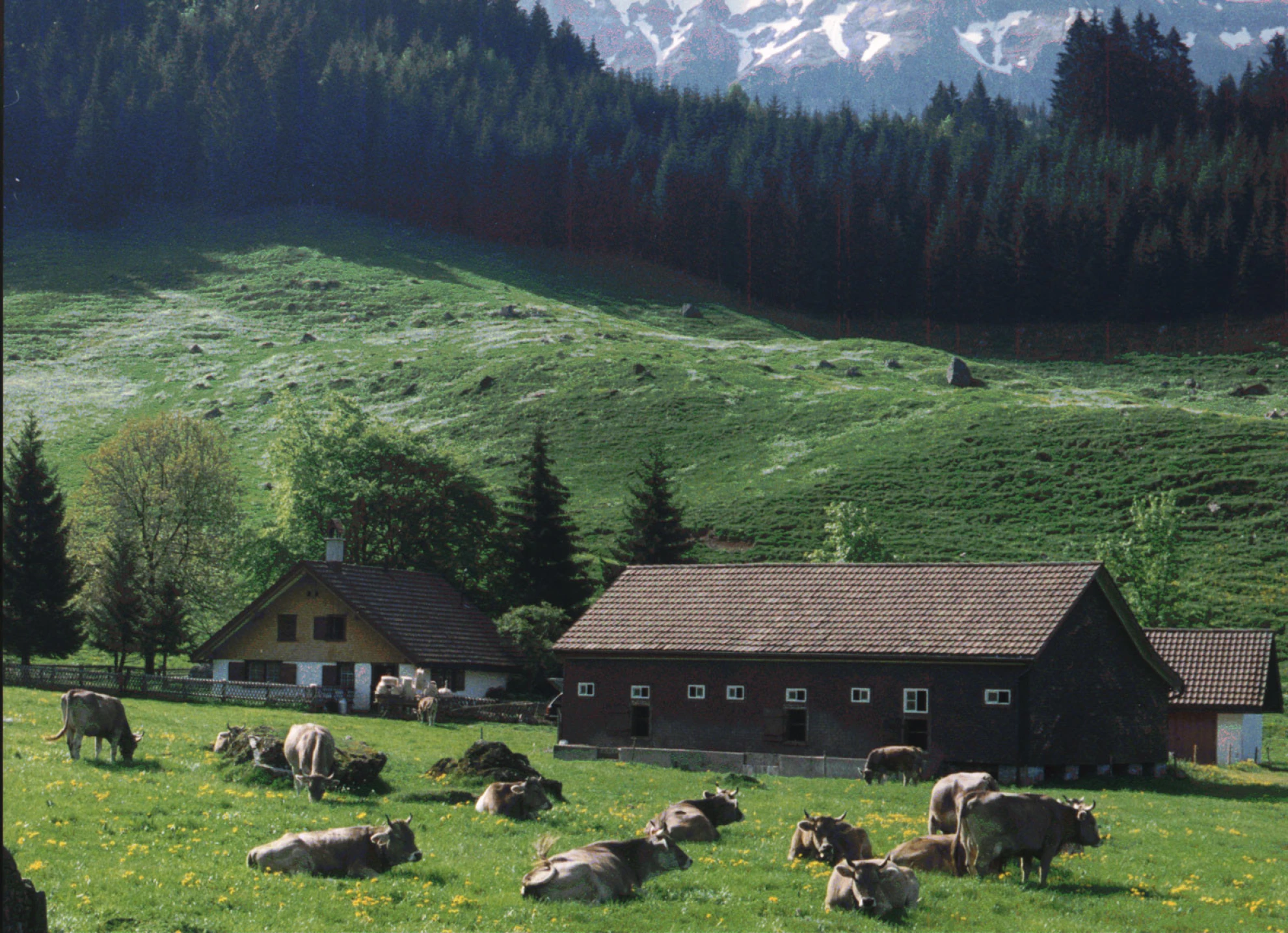 Sennen-Ballade hero banner image placeholder