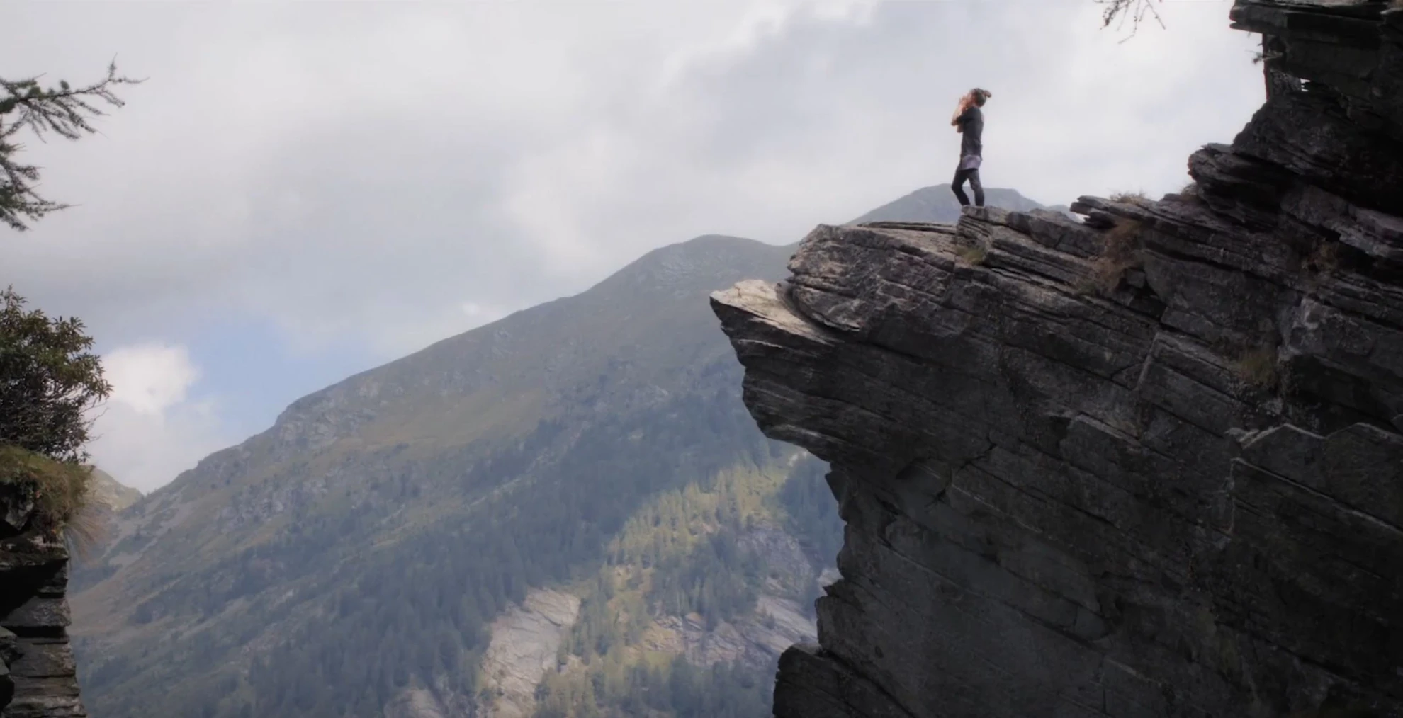 Kühe auf dem Dach hero banner image placeholder