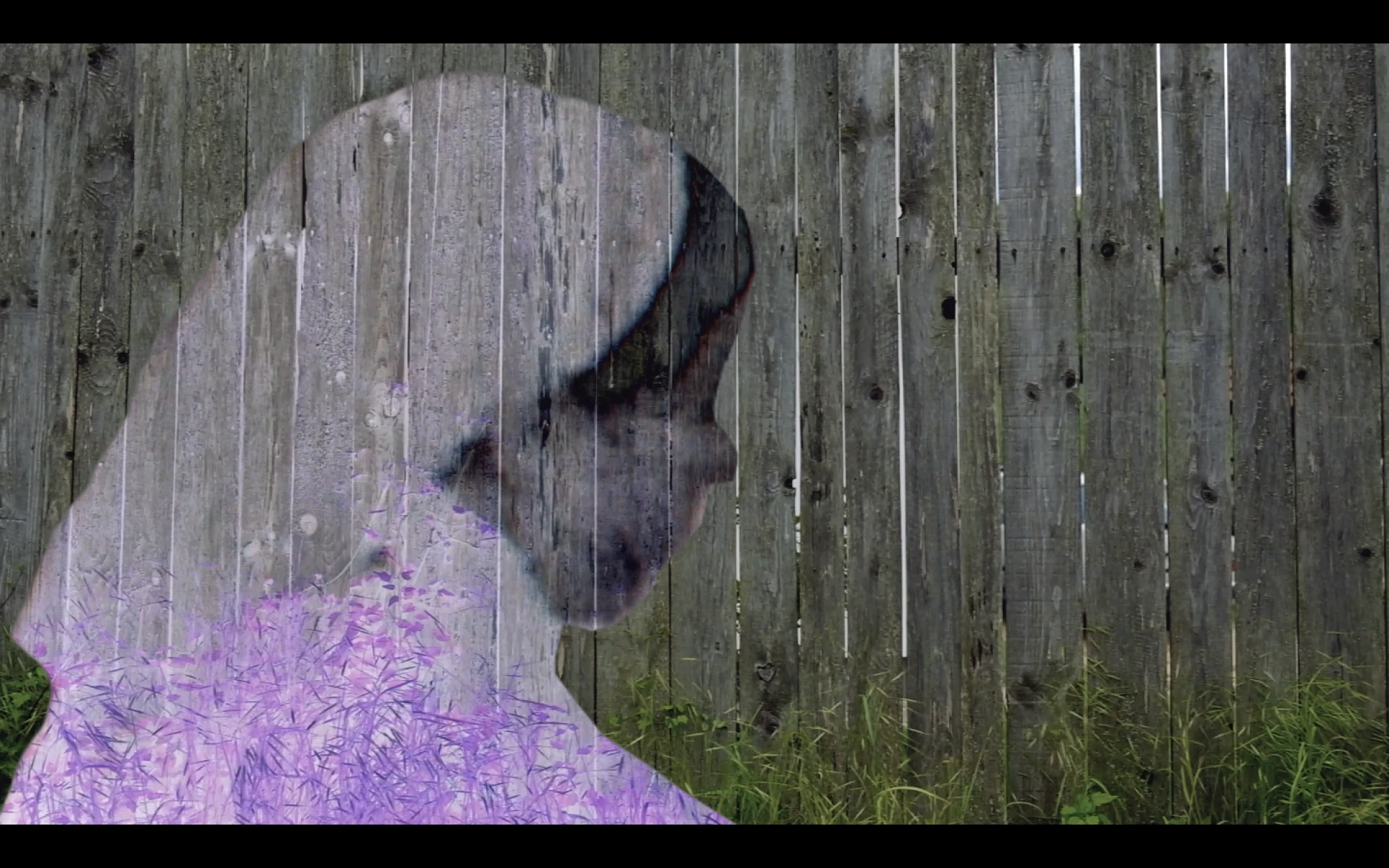 Future Selves - Kurzfilmblock hero banner image placeholder