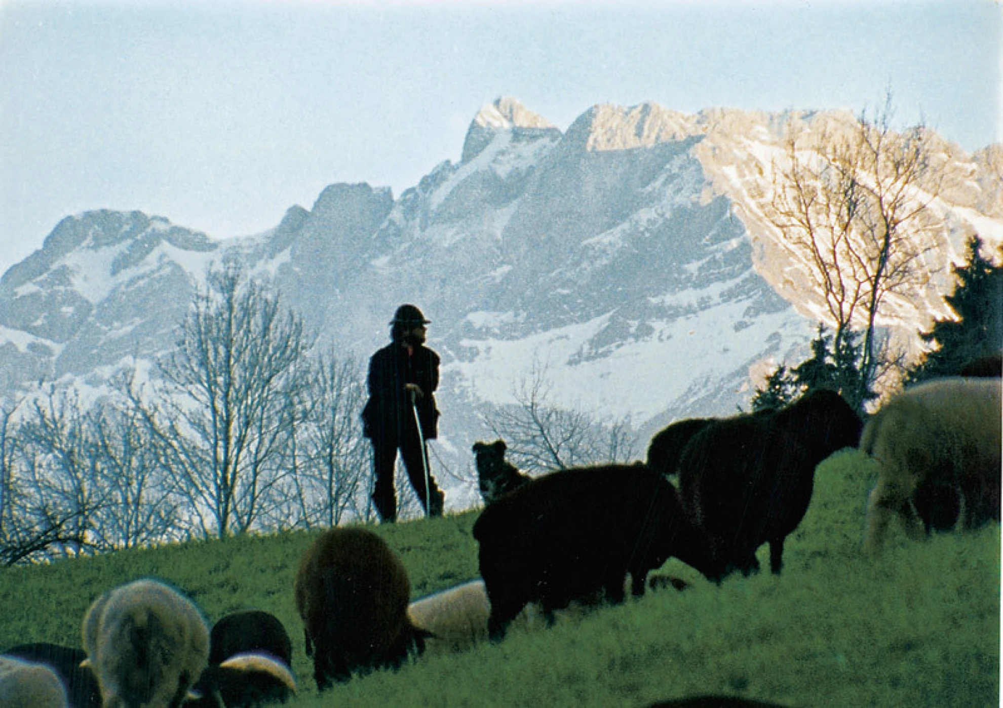 Hirtenreise ins dritte Jahrtausend hero banner image placeholder