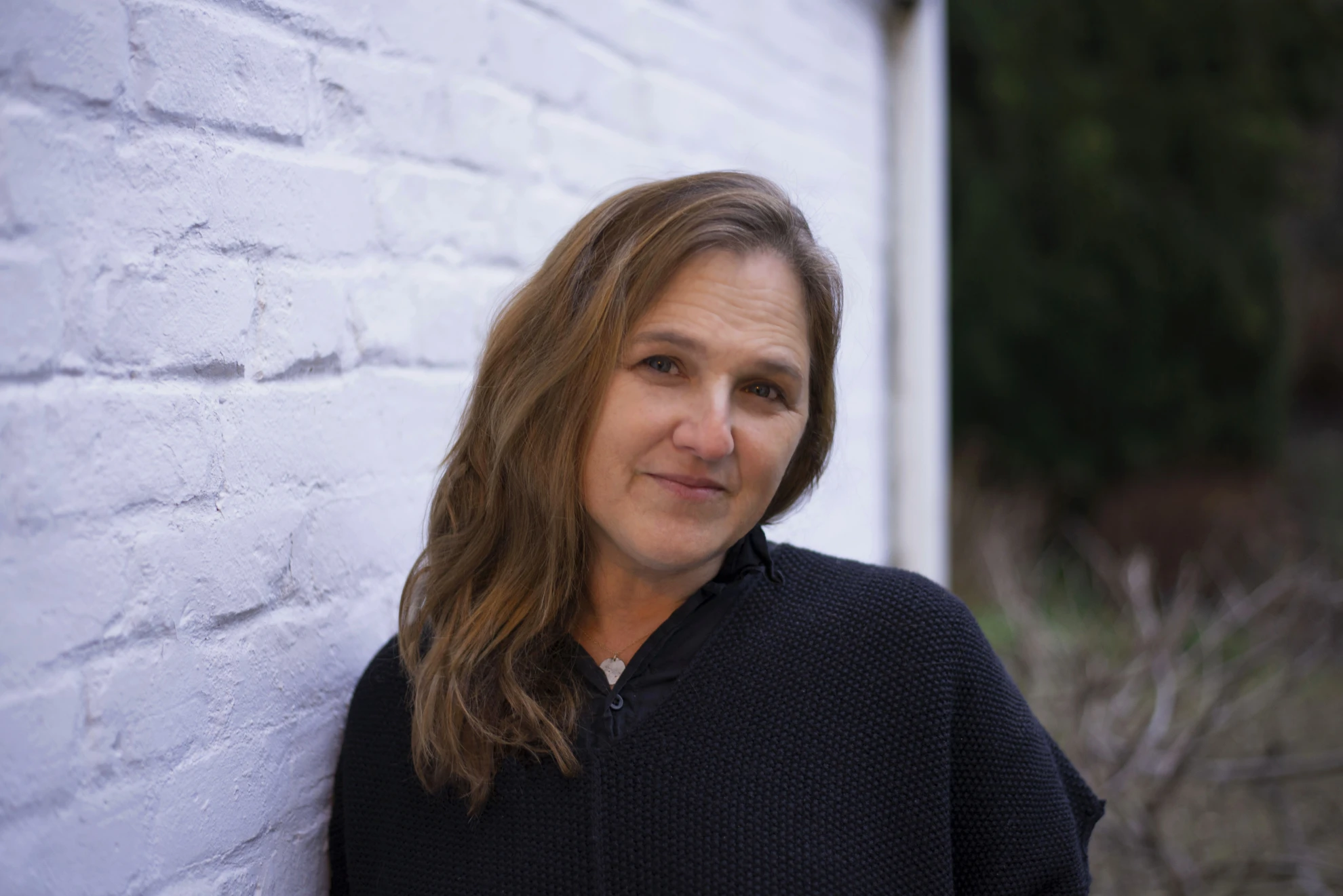 Joan Baez I Am A Noise hero banner image placeholder