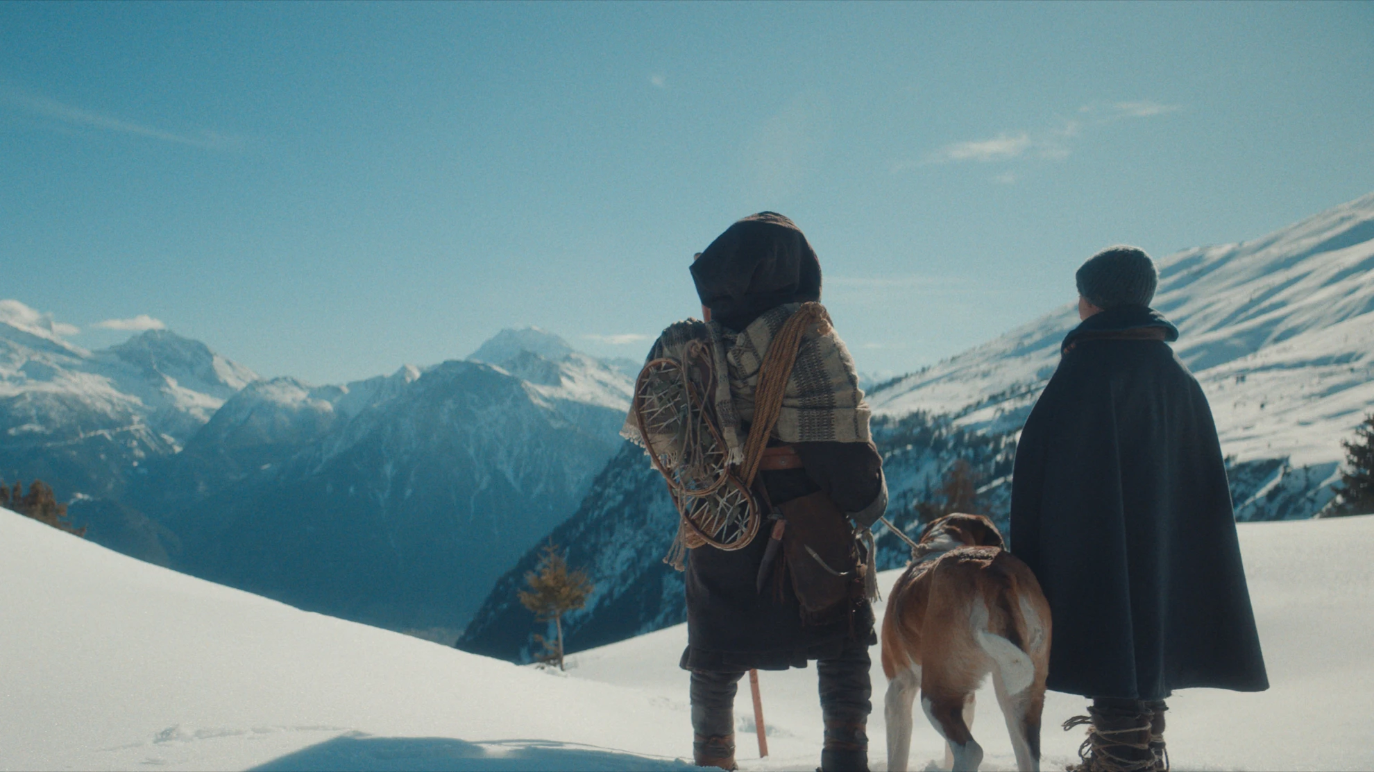 Mein Freund Barry hero banner image placeholder