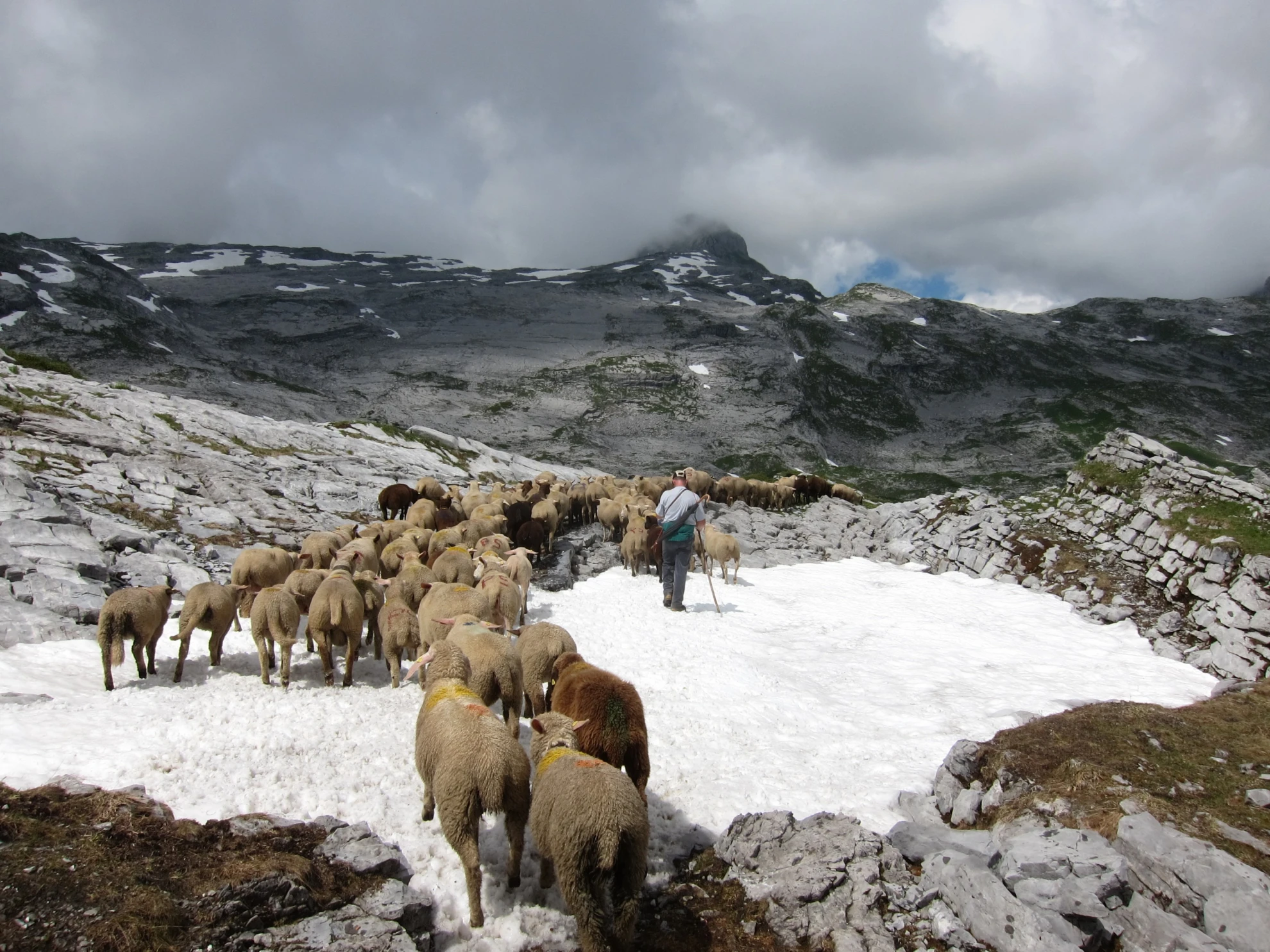 Alpsummer hero banner image placeholder