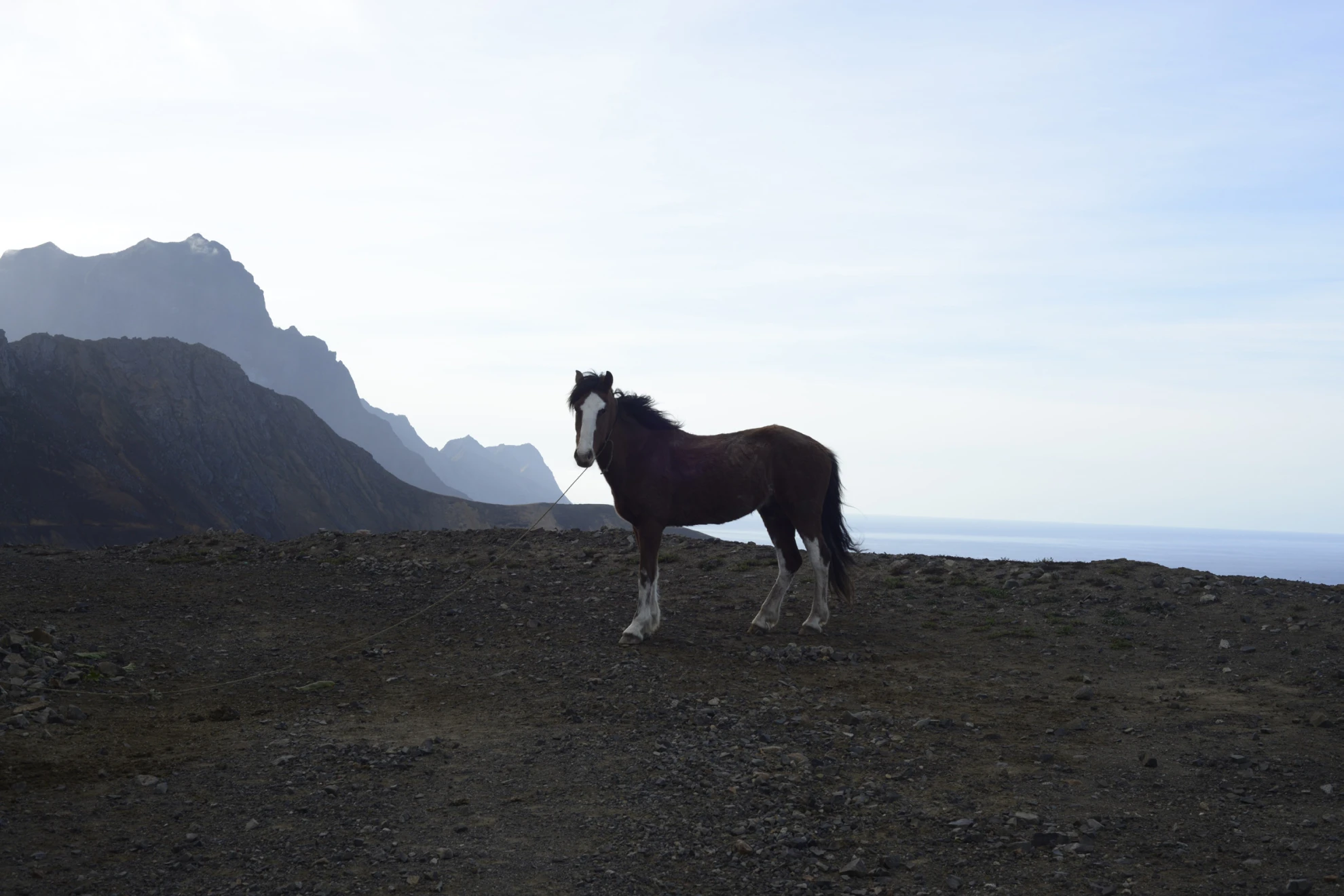 Insulaire hero banner image placeholder