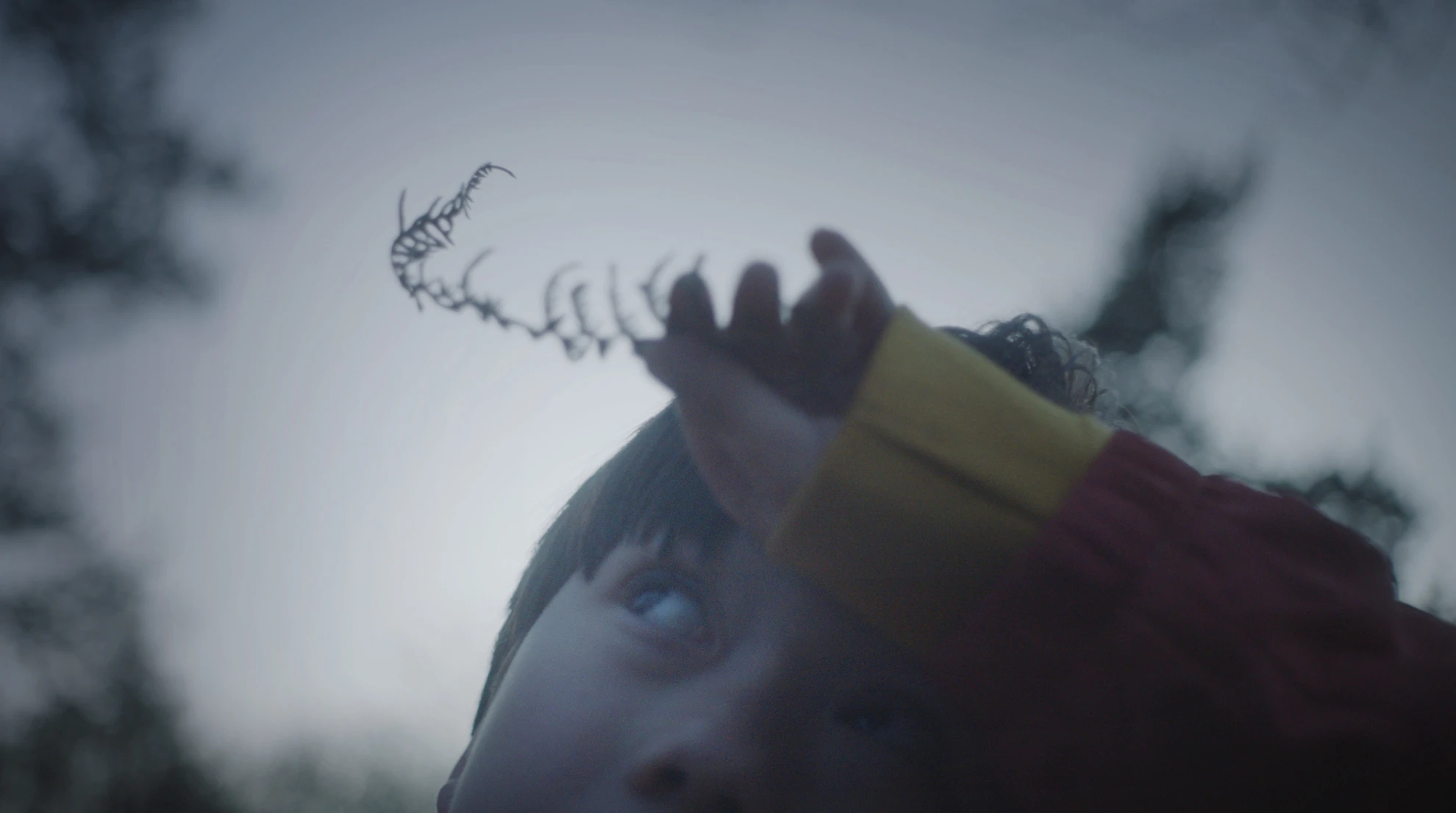 The Reason I Jump hero banner image placeholder