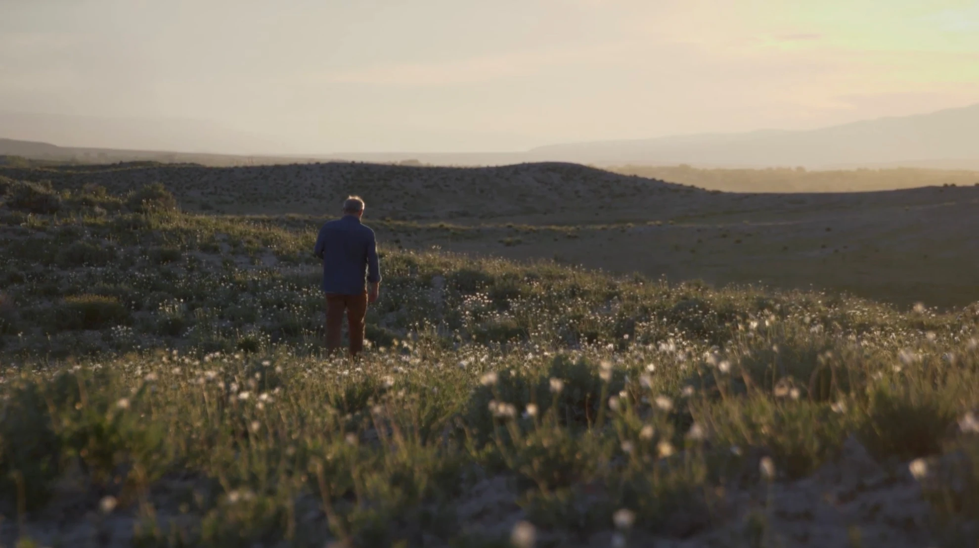 Der Eismann hero banner image placeholder