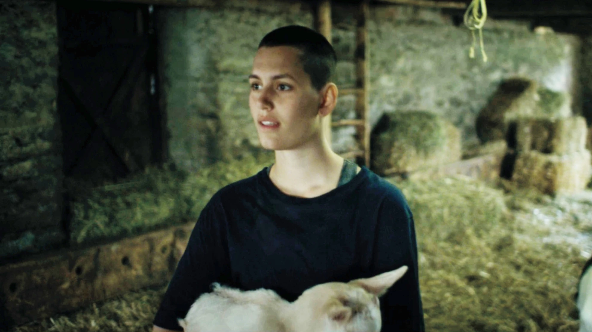 Chrieg hero banner image placeholder