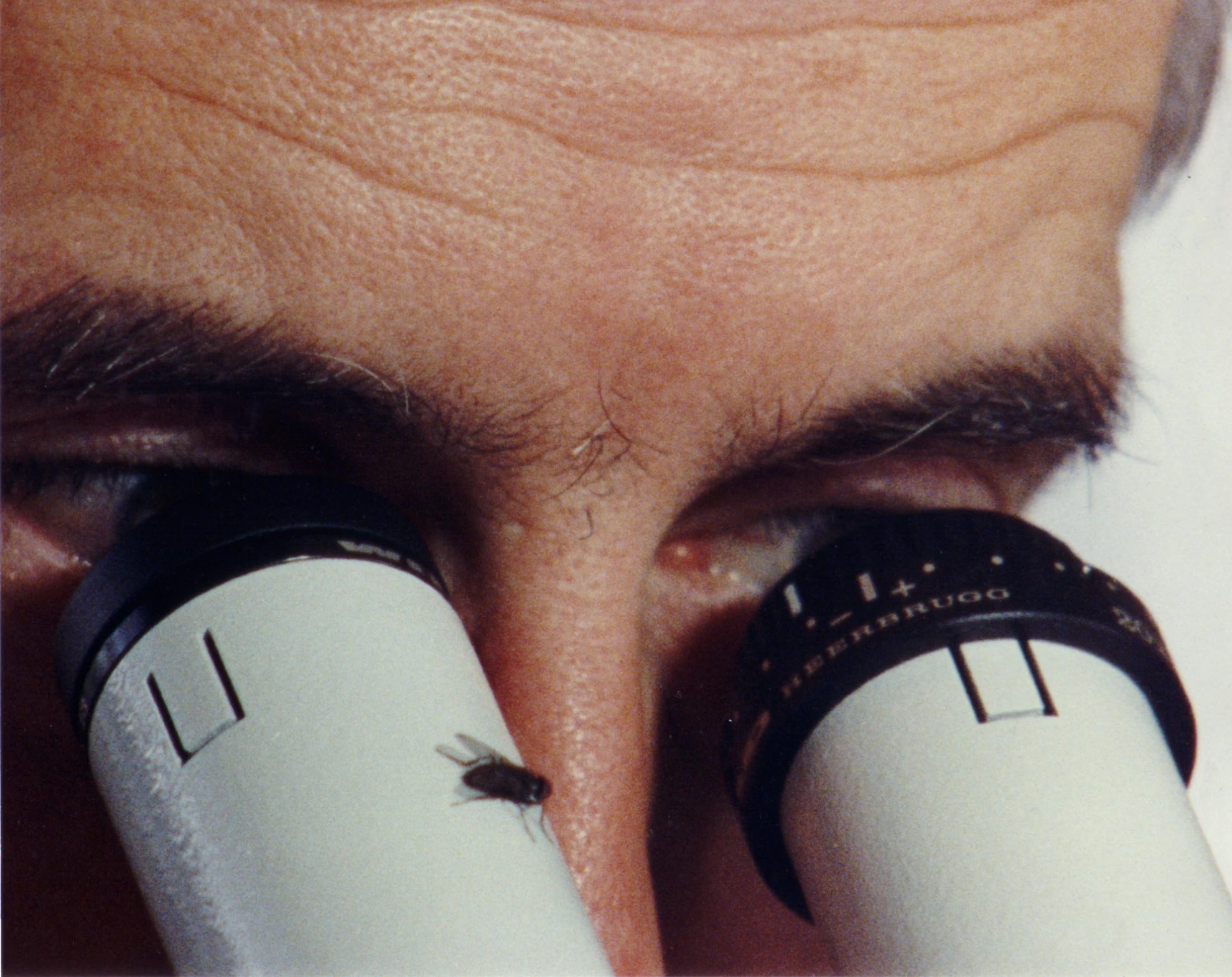 Bauernkrieg hero banner image placeholder