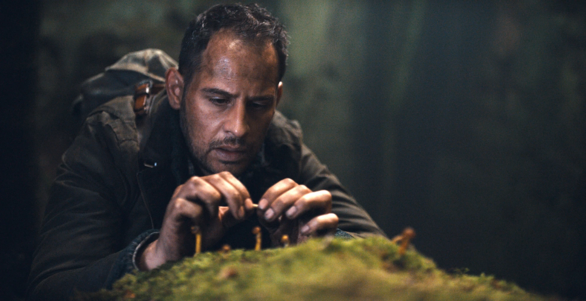 Die dunkle Seite des Mondes hero banner image placeholder