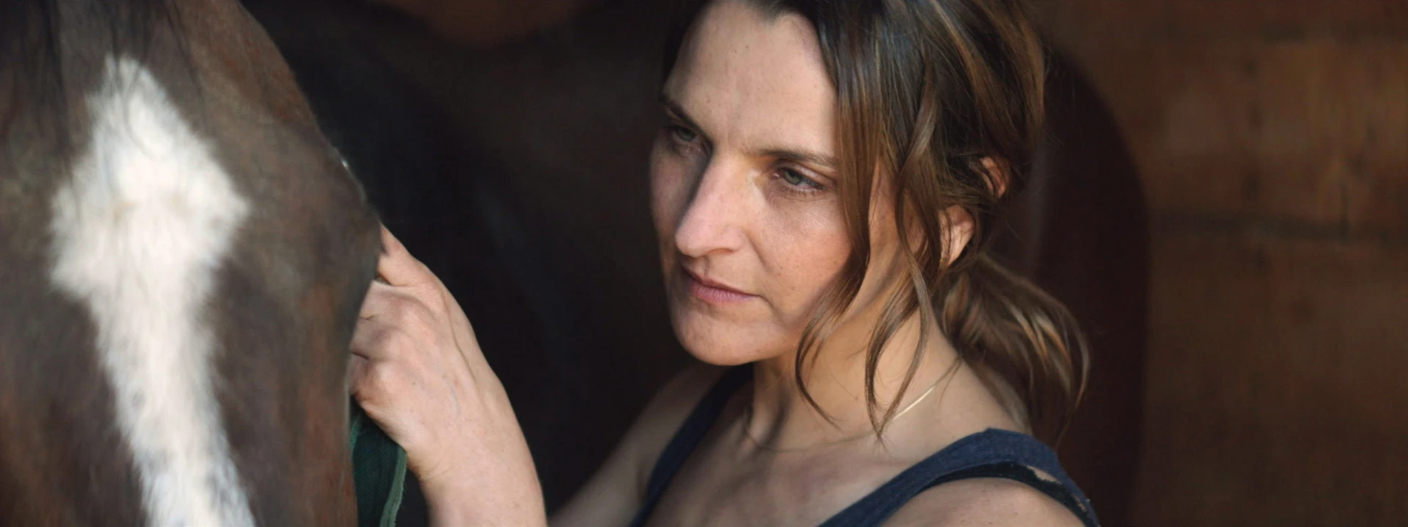 Los Perros hero banner image placeholder