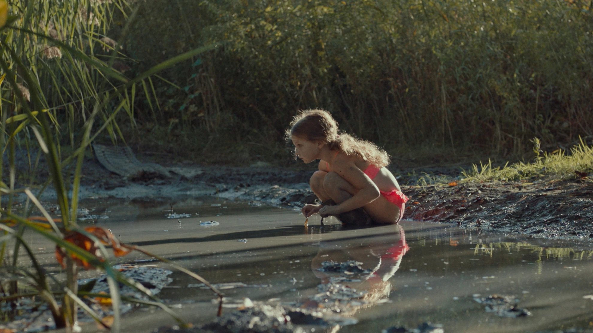 Une colonie hero banner image placeholder