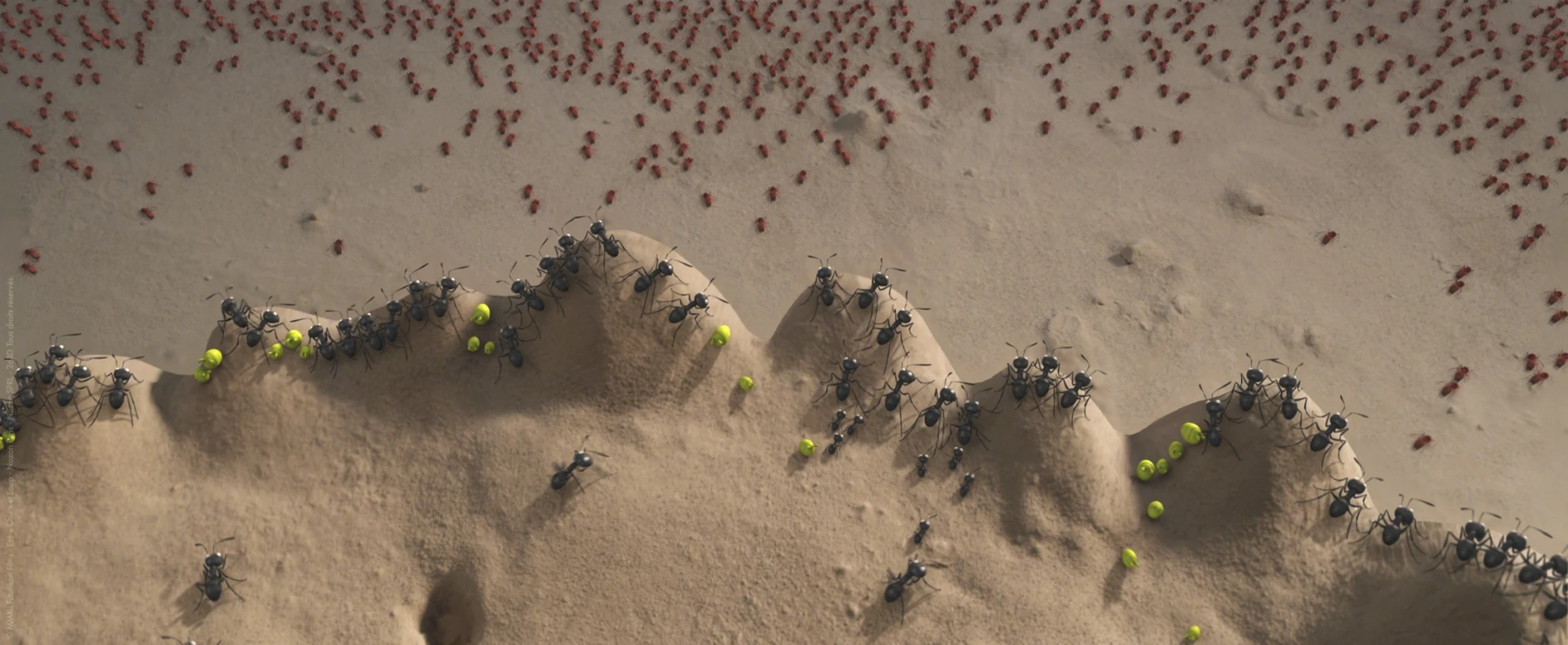 Minuscule - Kleine Helden hero banner image placeholder