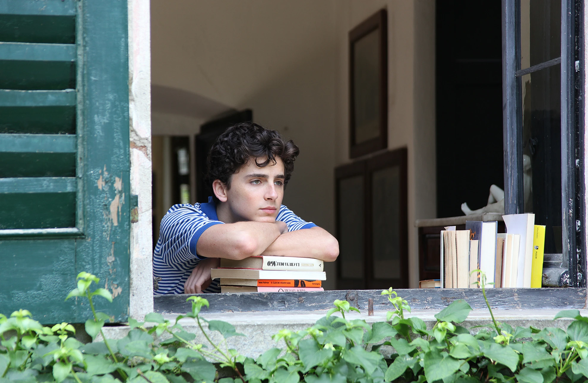Call Me By Your Name hero banner image