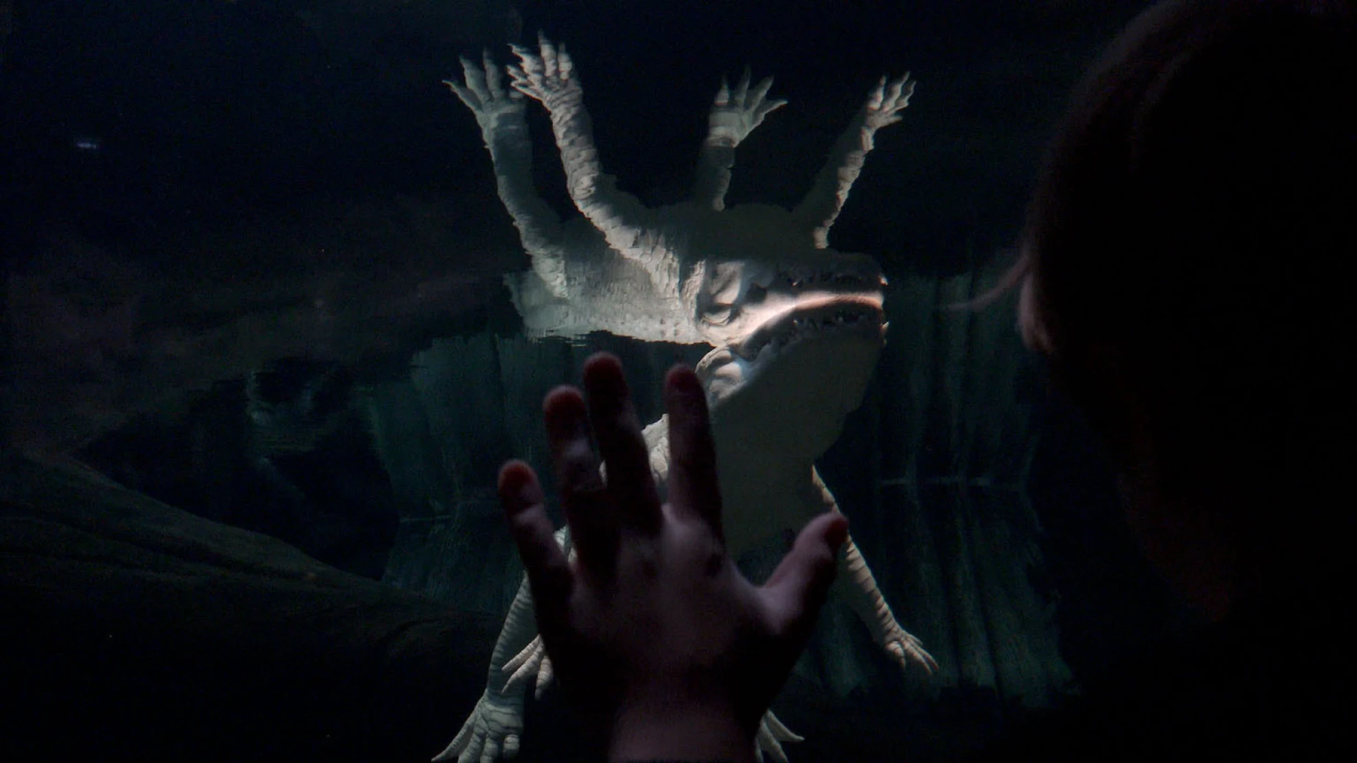 I'll be your mirror hero banner image placeholder