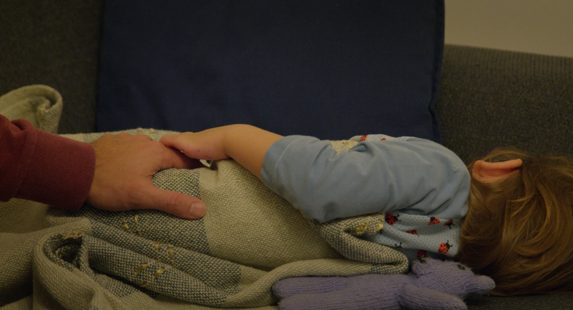 Die Papas hero banner image placeholder