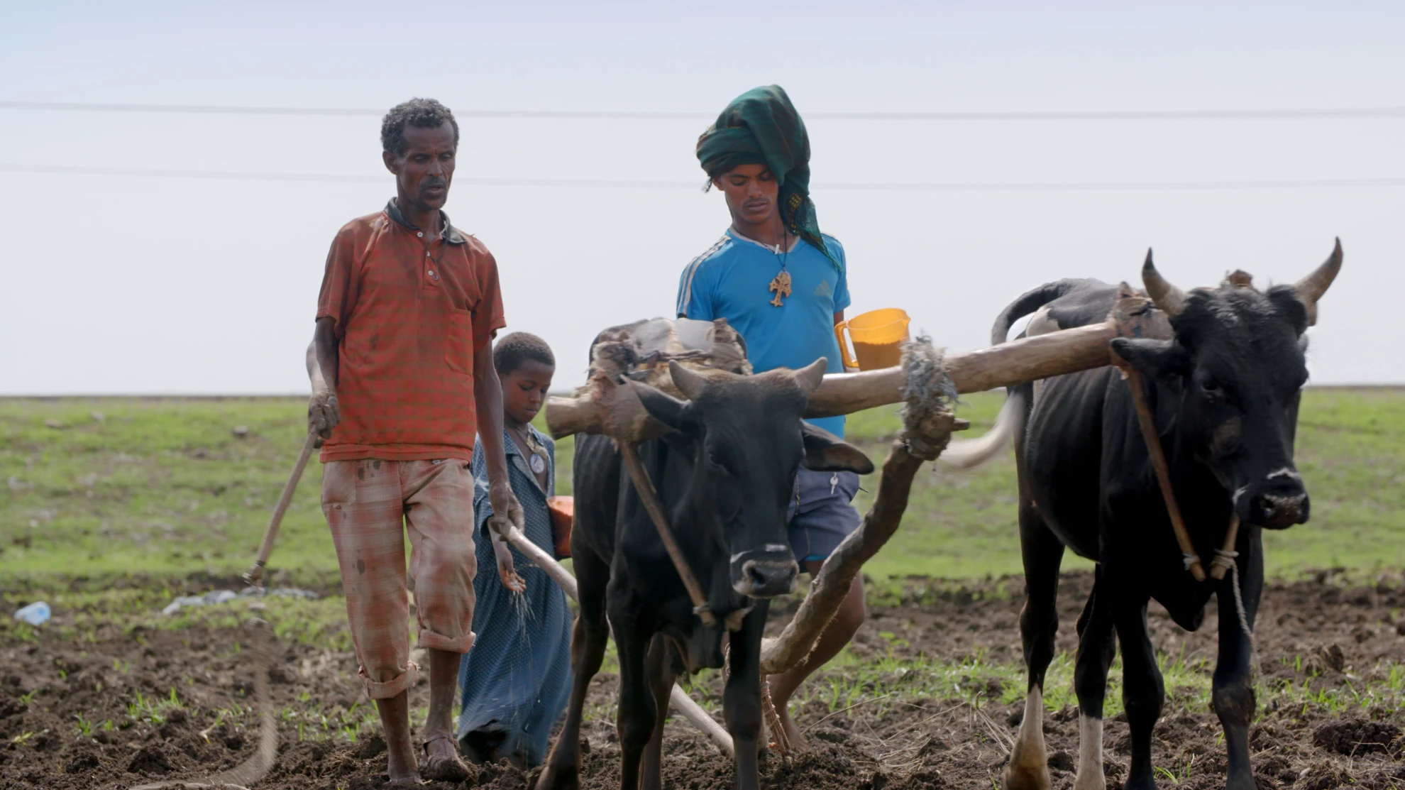 Urban Genesis hero banner image placeholder