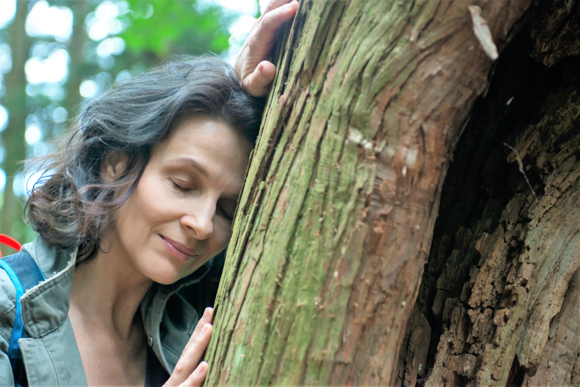 Vision hero banner image placeholder