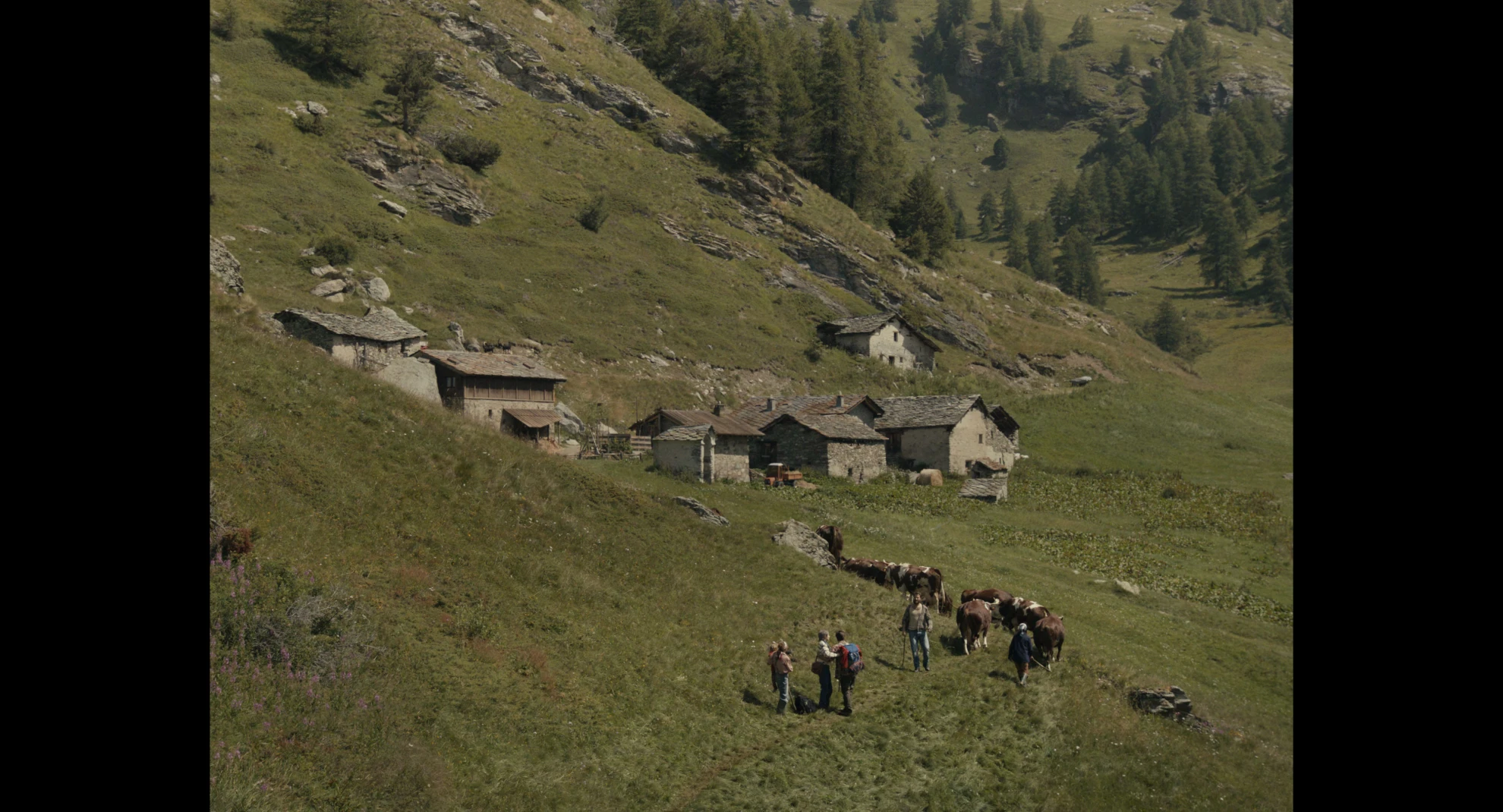 Le otto montagne hero banner image placeholder