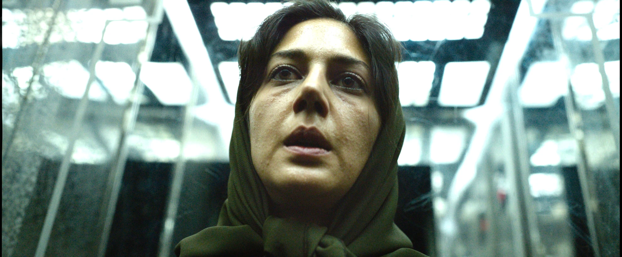 Holy Spider hero banner image placeholder