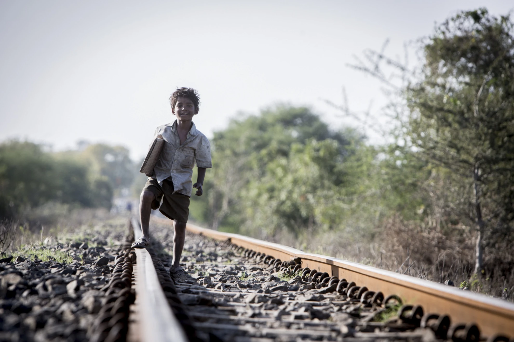 Lion hero banner image placeholder