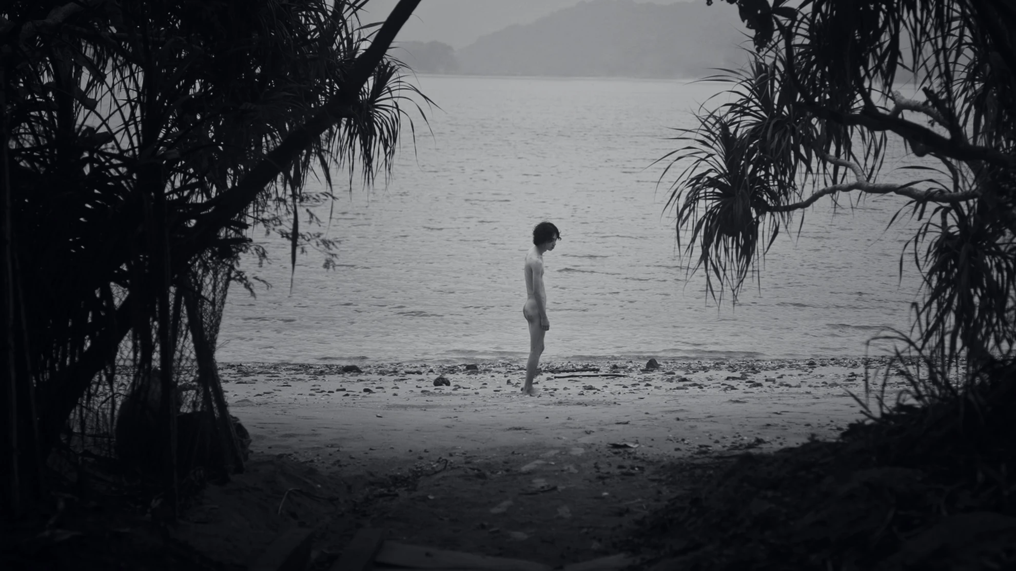 Queerpanorama hero banner image placeholder