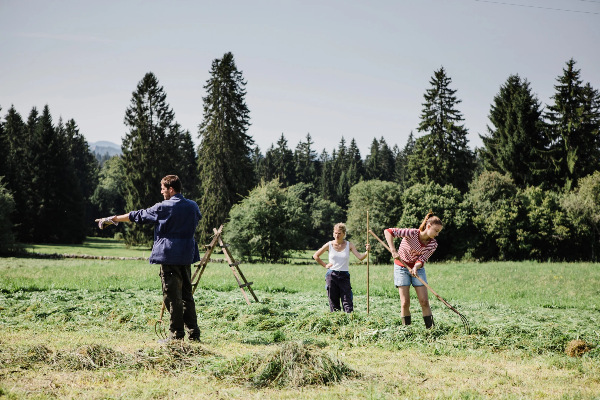 Le vent tourne hero banner image placeholder