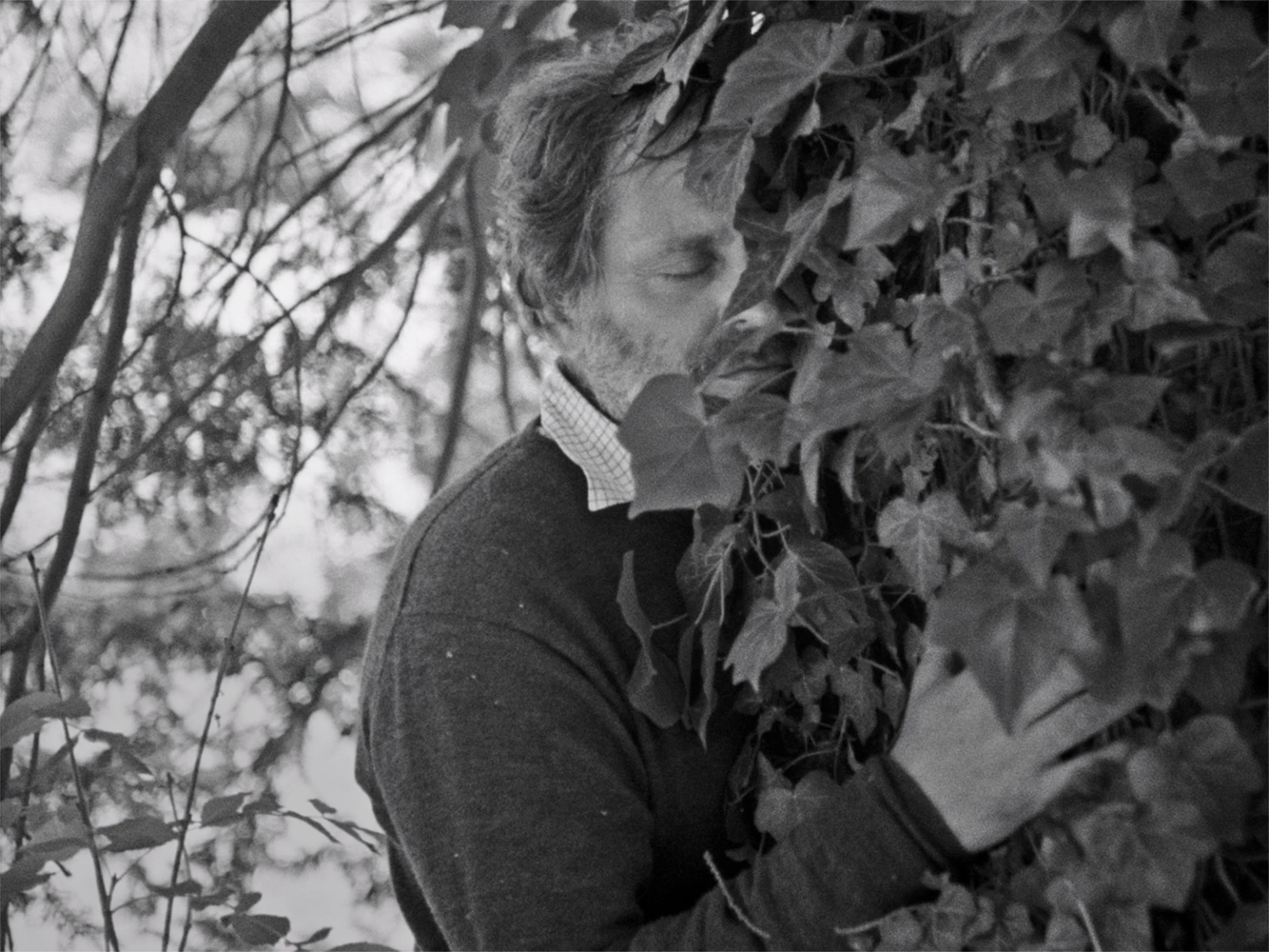 Electric Fields hero banner image placeholder