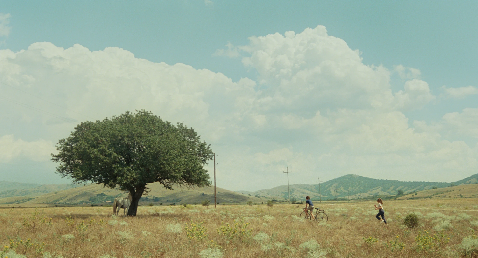 Le Milieu de l'horizon hero banner image placeholder