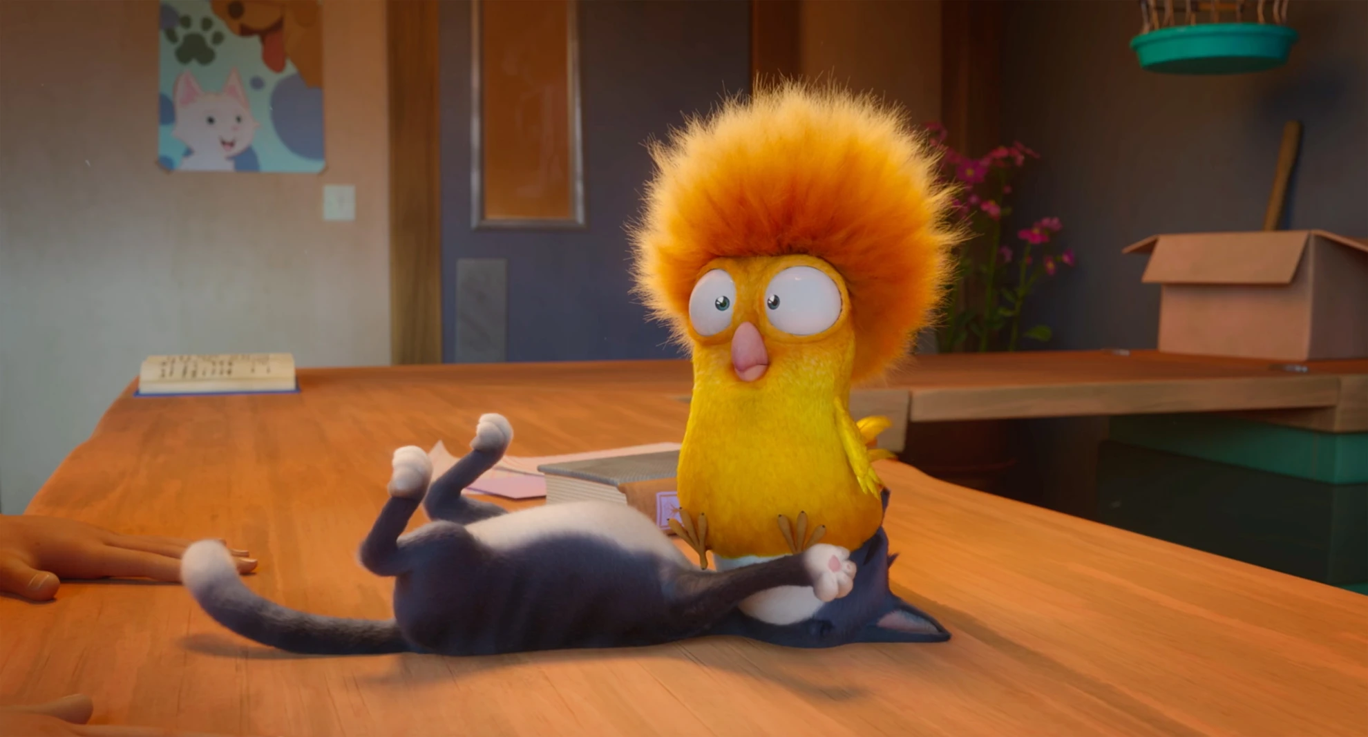 Alles für die Katz hero banner image