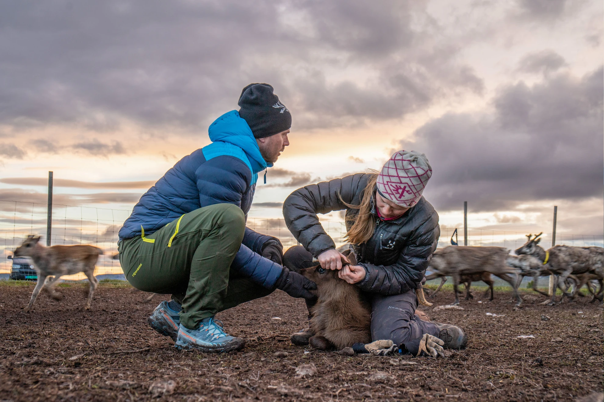 Beyond Tradition - Kraft der Naturstimmen hero banner image placeholder