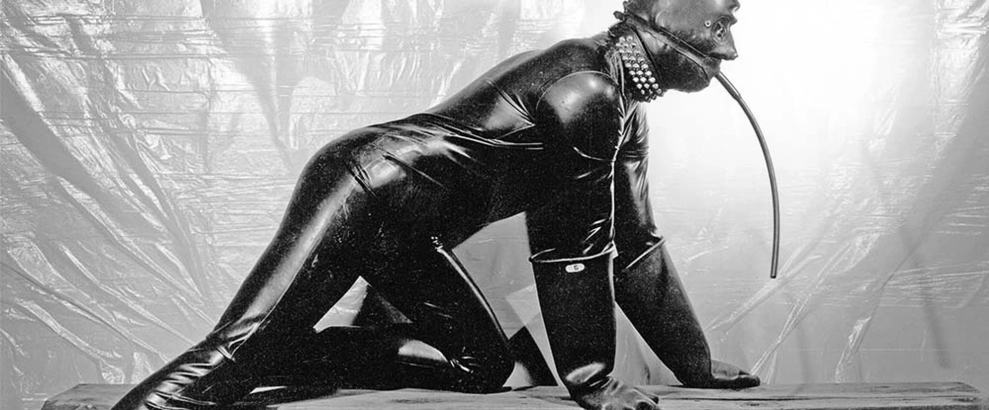 Mapplethorpe: Look at the Pictures hero banner image placeholder